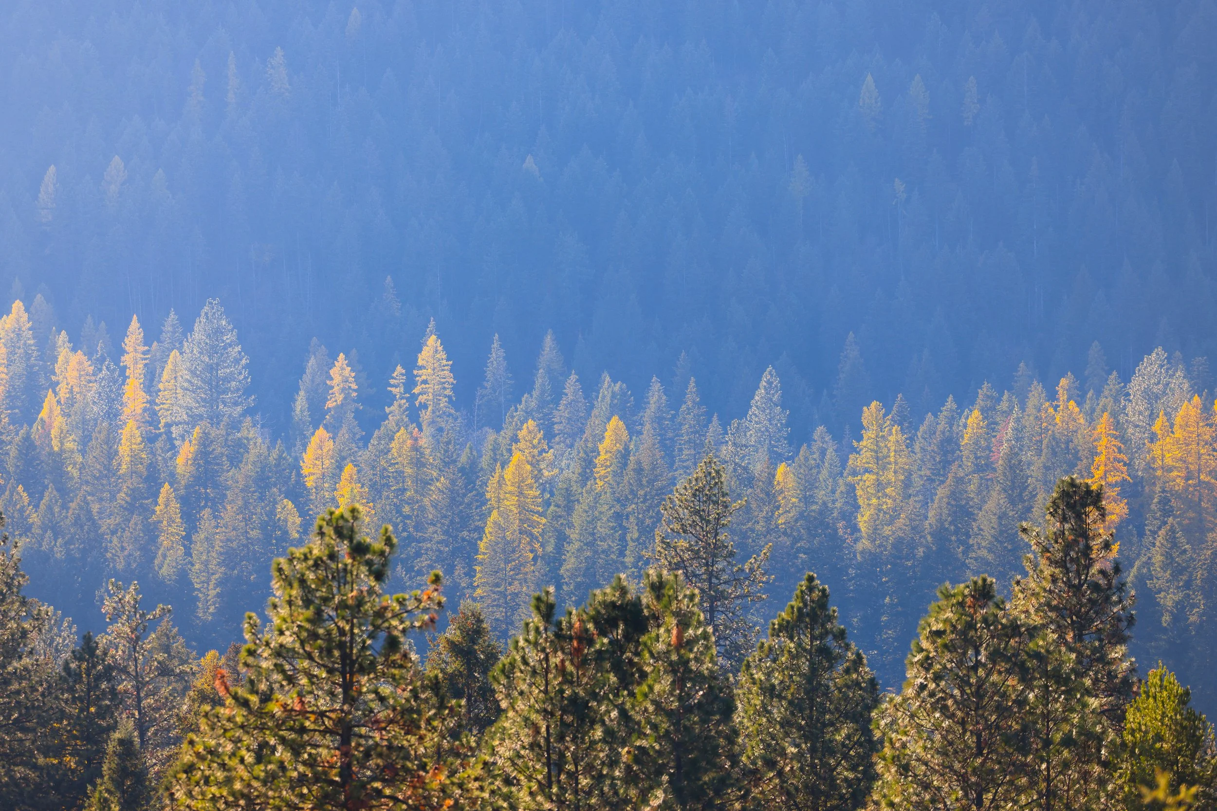 121 Harlow Rd-19.jpg