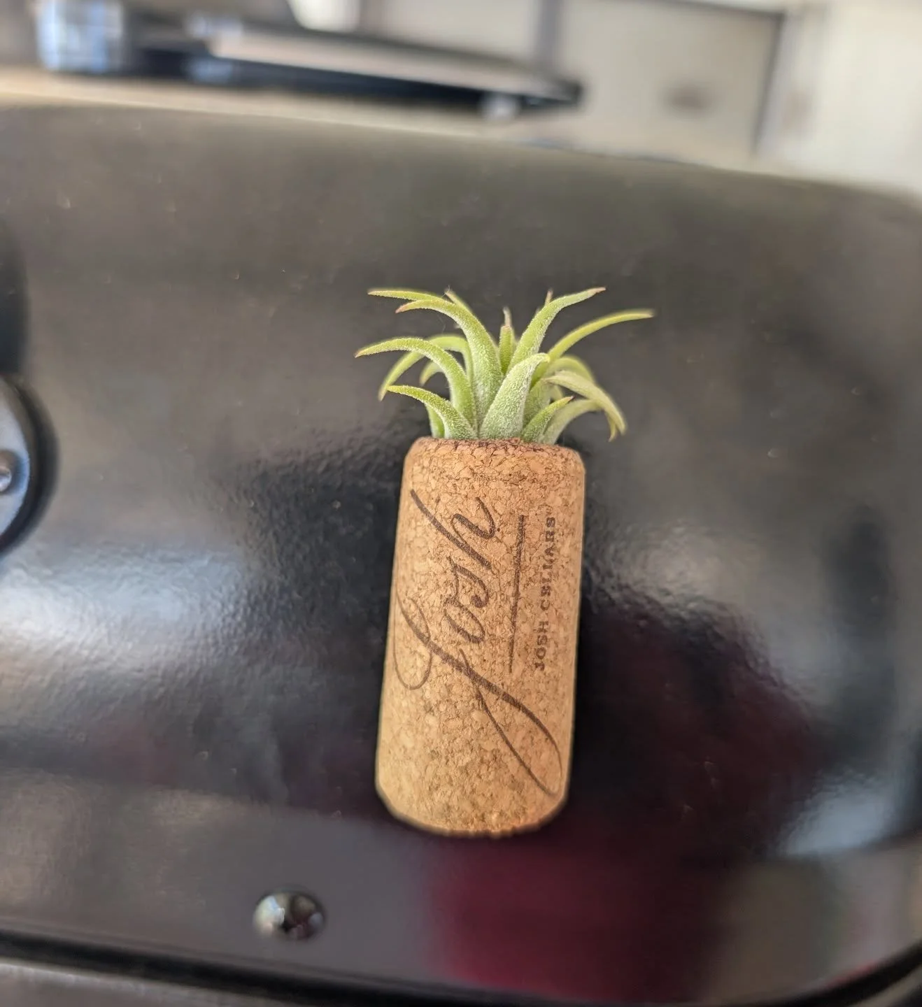 I like this little guy
🍖🔪♨️#RI #RhodeIsland #RhodeIslandWedding #RhodeIslandFoodie #Catering #BBQ #SmokedMeat #PitMaster #Foodie #BBQLovers #GrillMaster #Brisket #BurntEnds #PorkBelly #CornBread #Cookout #Food #EVentCatering #GetItWhileItsHot