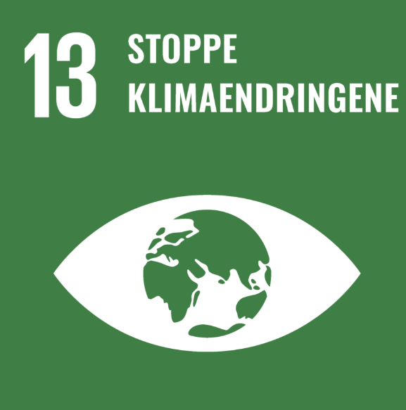 En grønn kampanjeplakat med teksten "13 STOPPE KLIMAENDRINGENE" og en hvit illustrasjon av et øye med jordkloden inni.