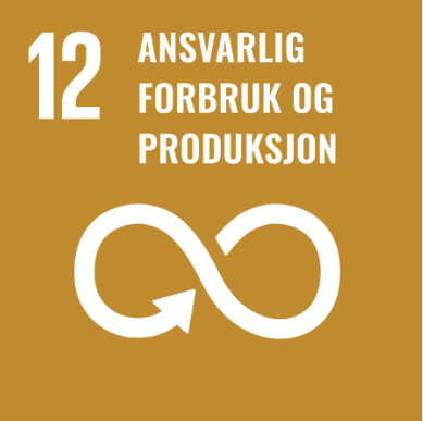 Skjermbilde av FNs bærekraftsmål nummer 12 om ansvarlig forbruk og produksjon, med en beskrivelse av en syklisk pil i en form som symboliserer gjenbruk.