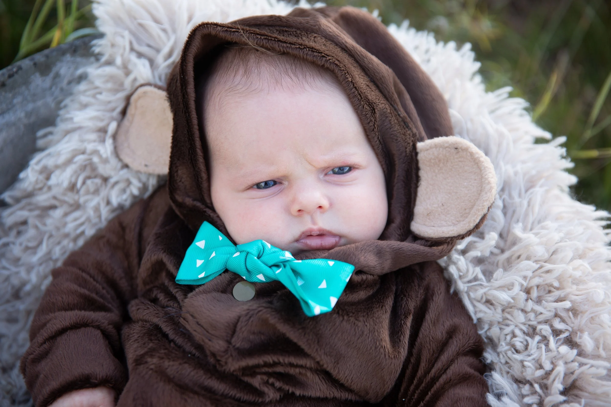 Baby dressed in a monkey costume with a turquoise bow, lying on a fluffy white blanket outdoors
