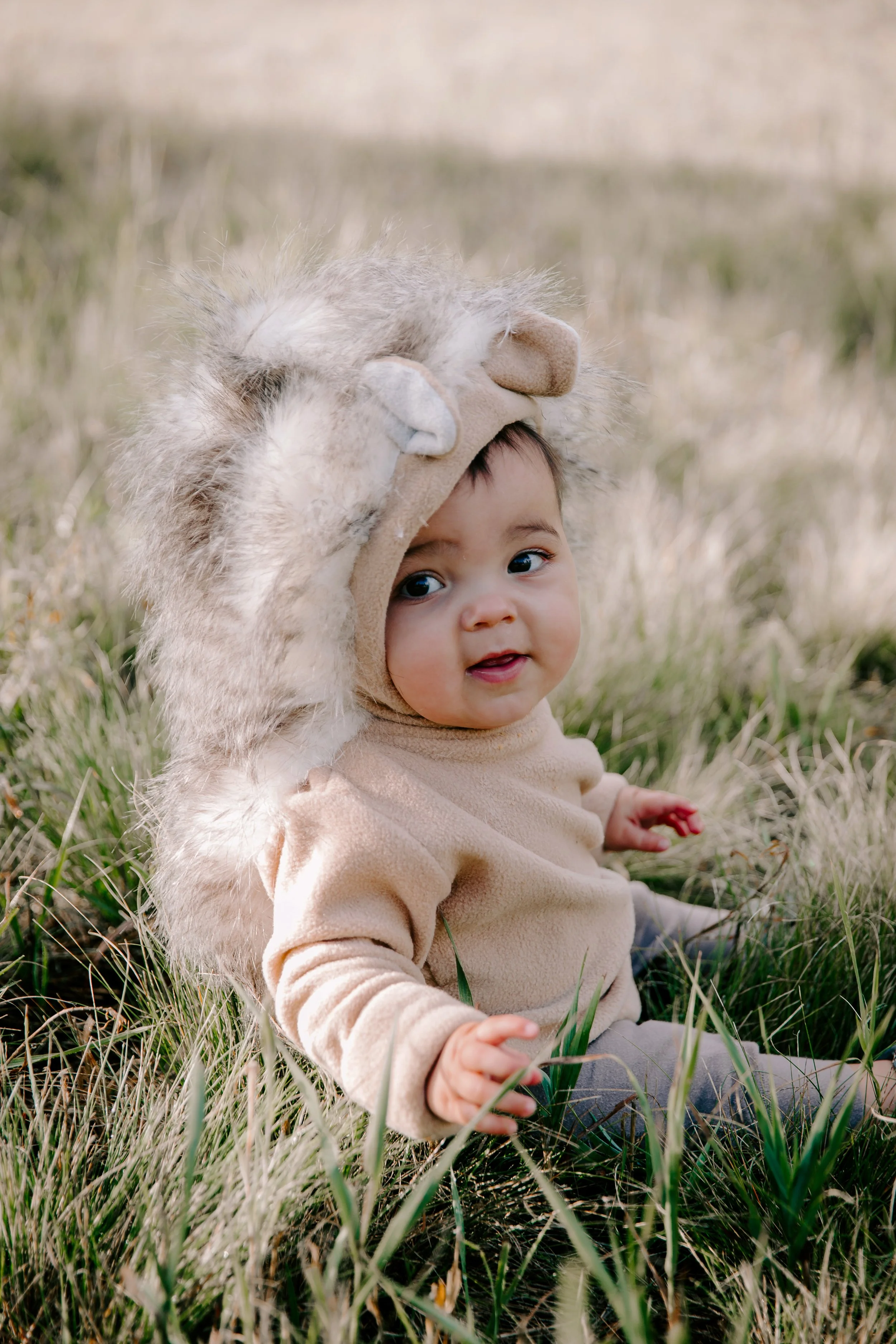 A baby sitting on grass outdoors wearing a lion costume headpiece with a furry mane and a beige outfit.