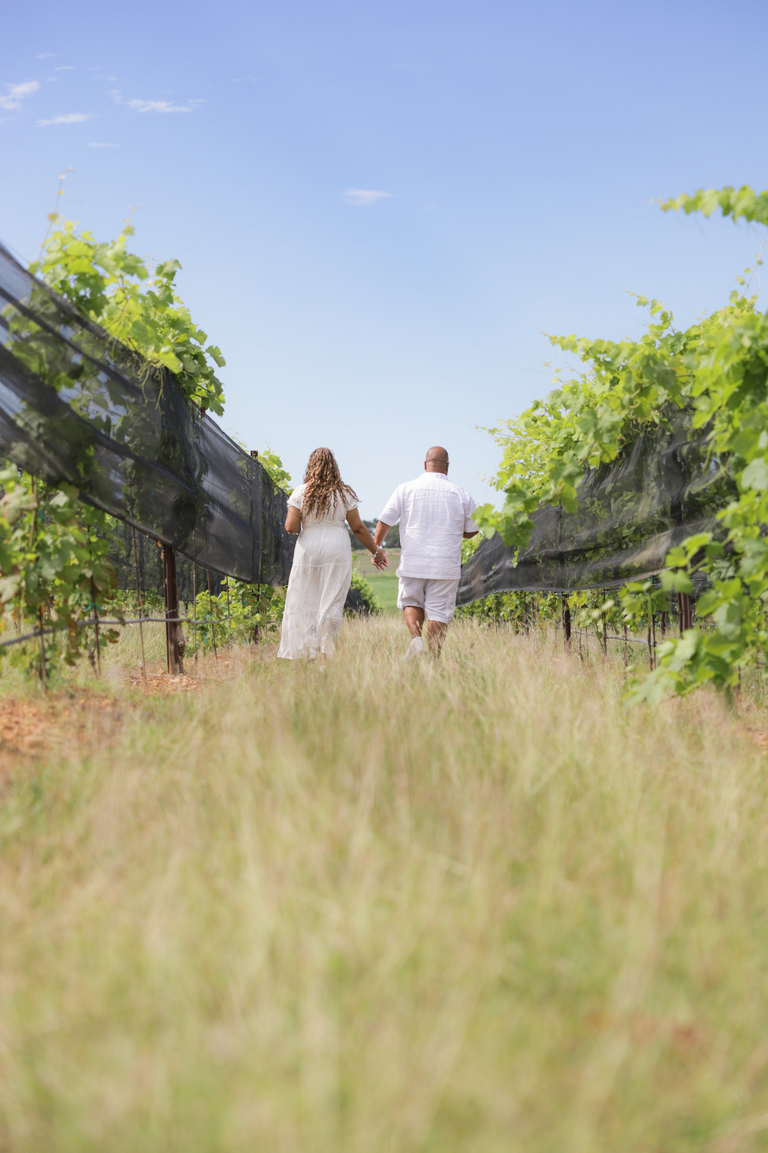 A couple holding hands and walking through a vineyard on a sunny day, with green grapevines on both sides and a clear blue sky above.
