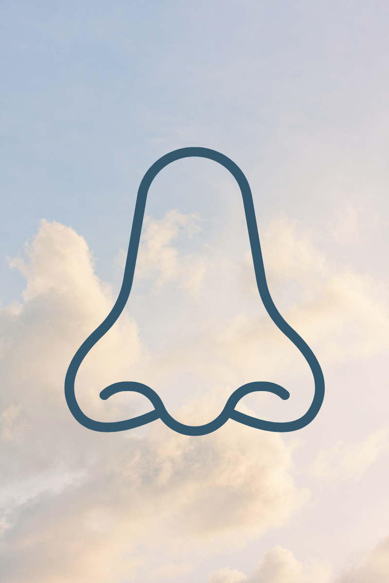 Illustratie van een neus, symbool voor ademwerk en bewust ademhalen