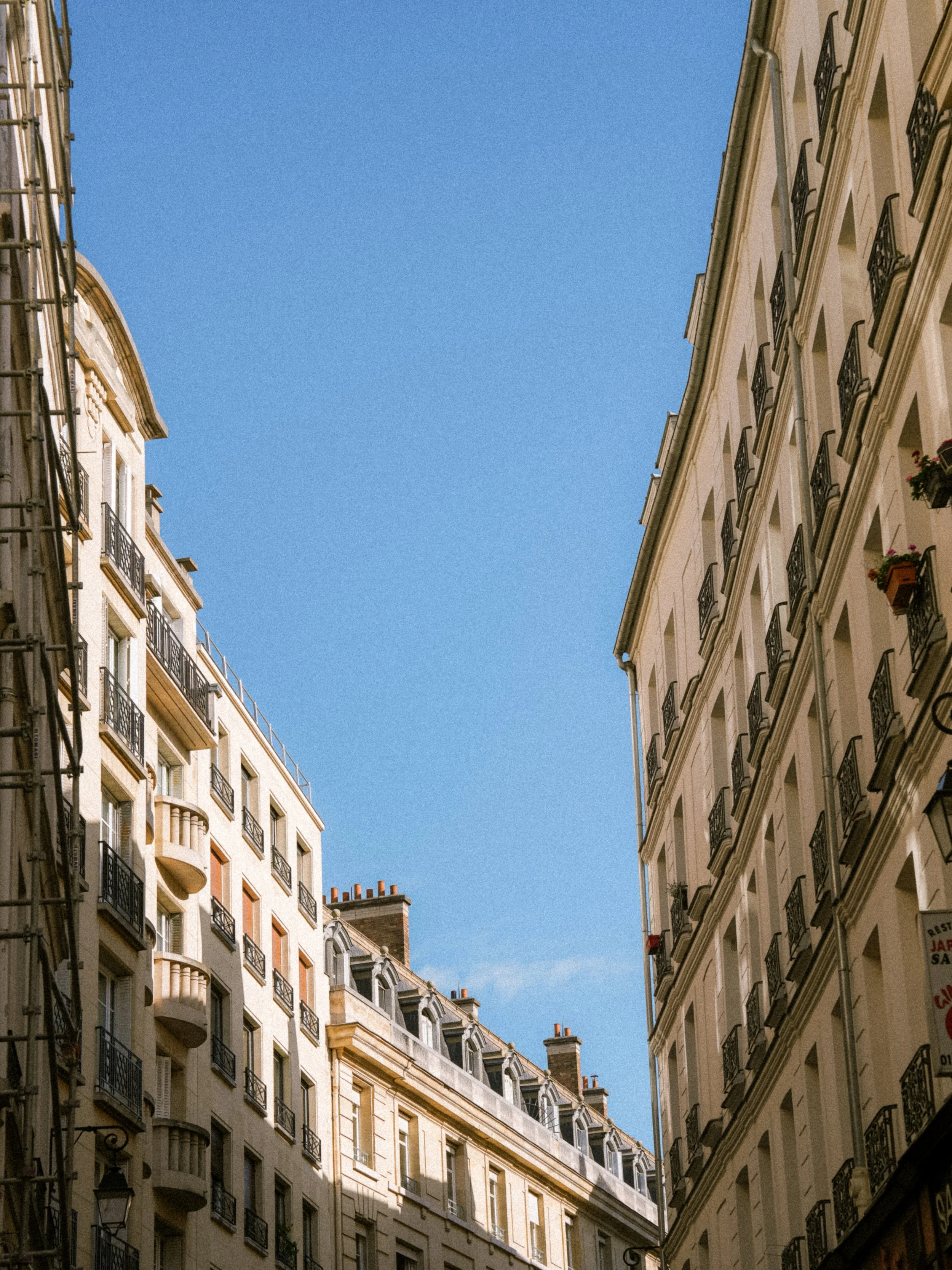Paris Sky
