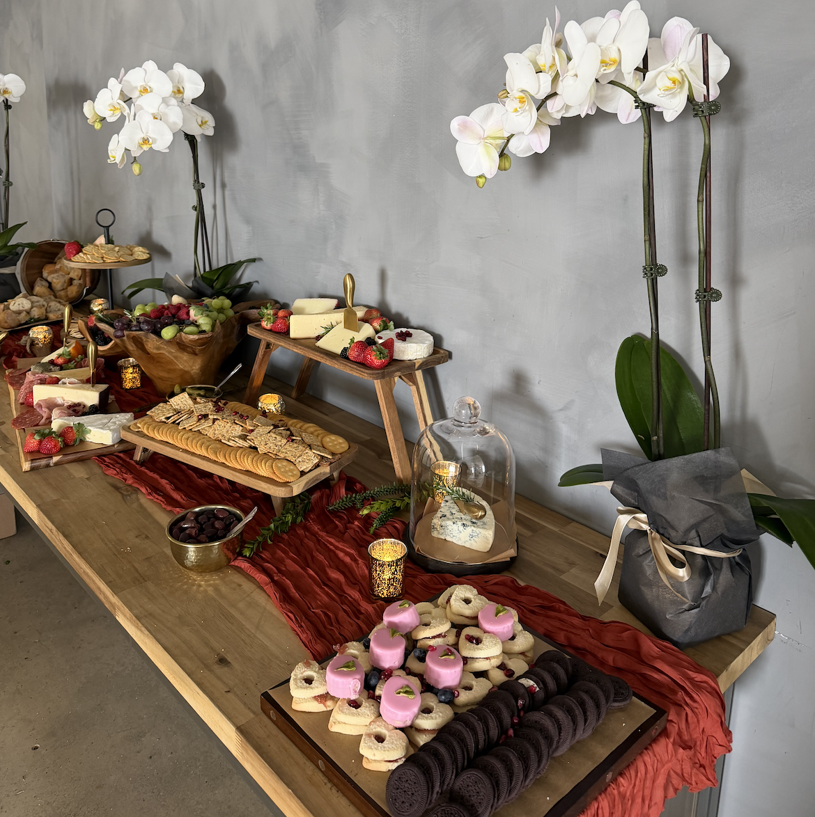 Screenshot 2026-02-24 at 5.06.45 PM.png