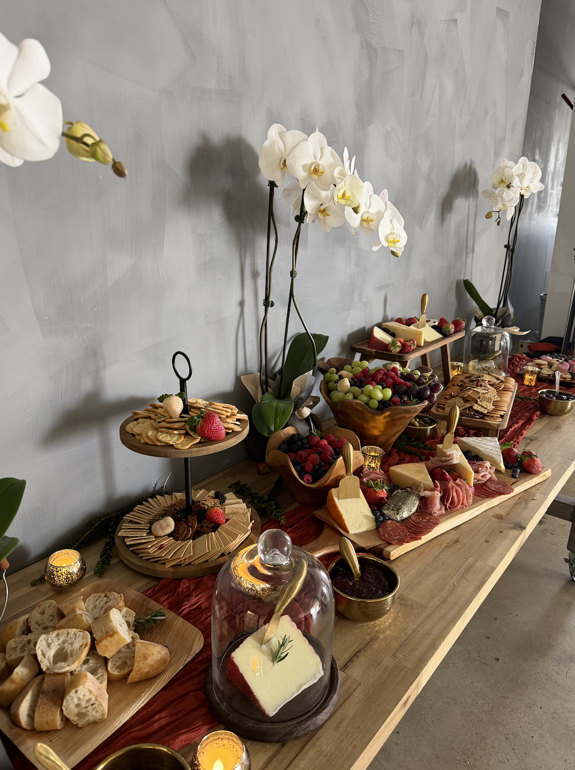 Screenshot 2026-02-24 at 5.06.36 PM.png