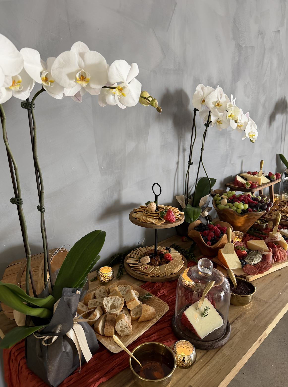 Screenshot 2026-02-24 at 5.05.38 PM.png