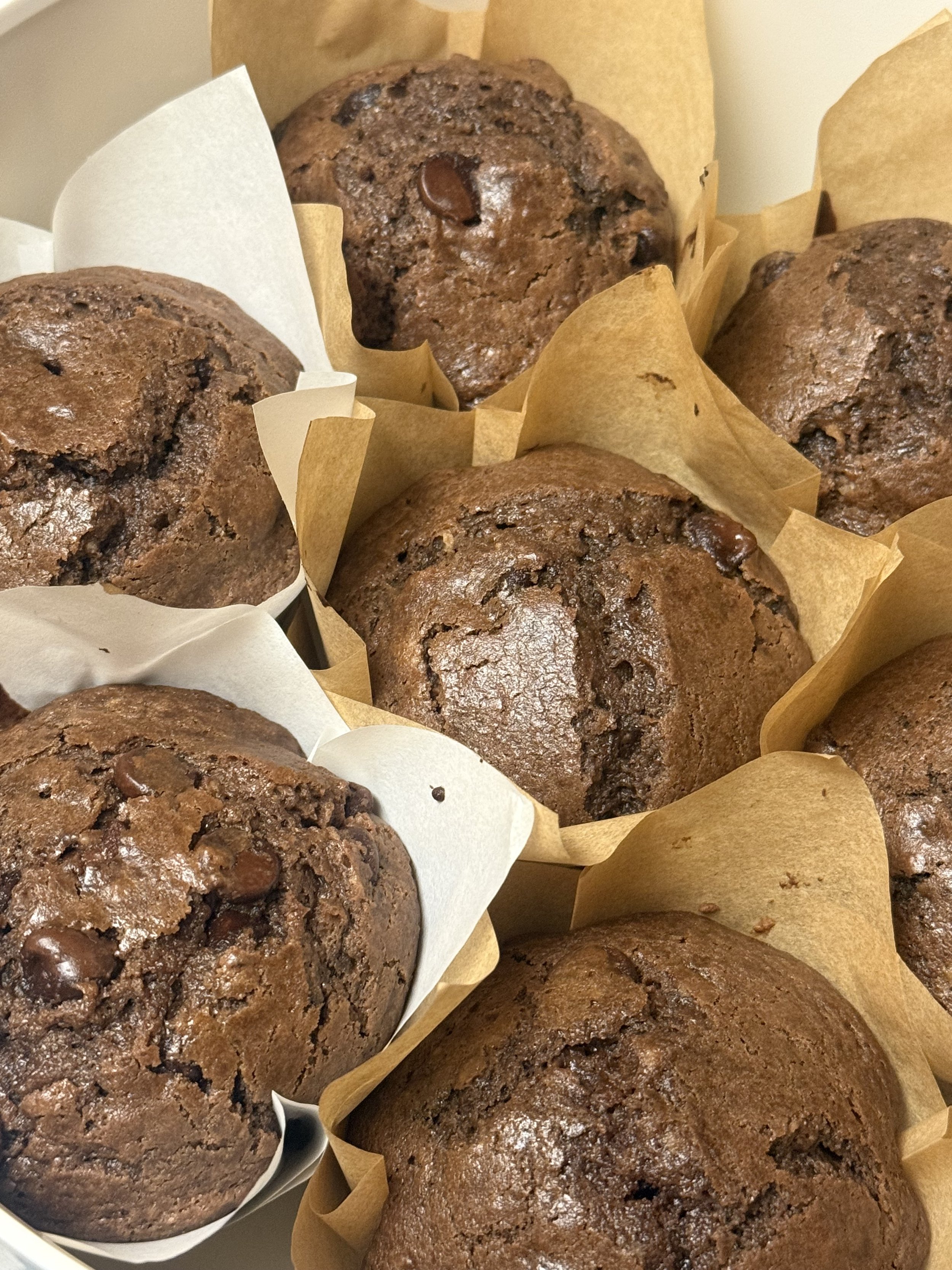 Double Chocolate Muffins (4 pack)