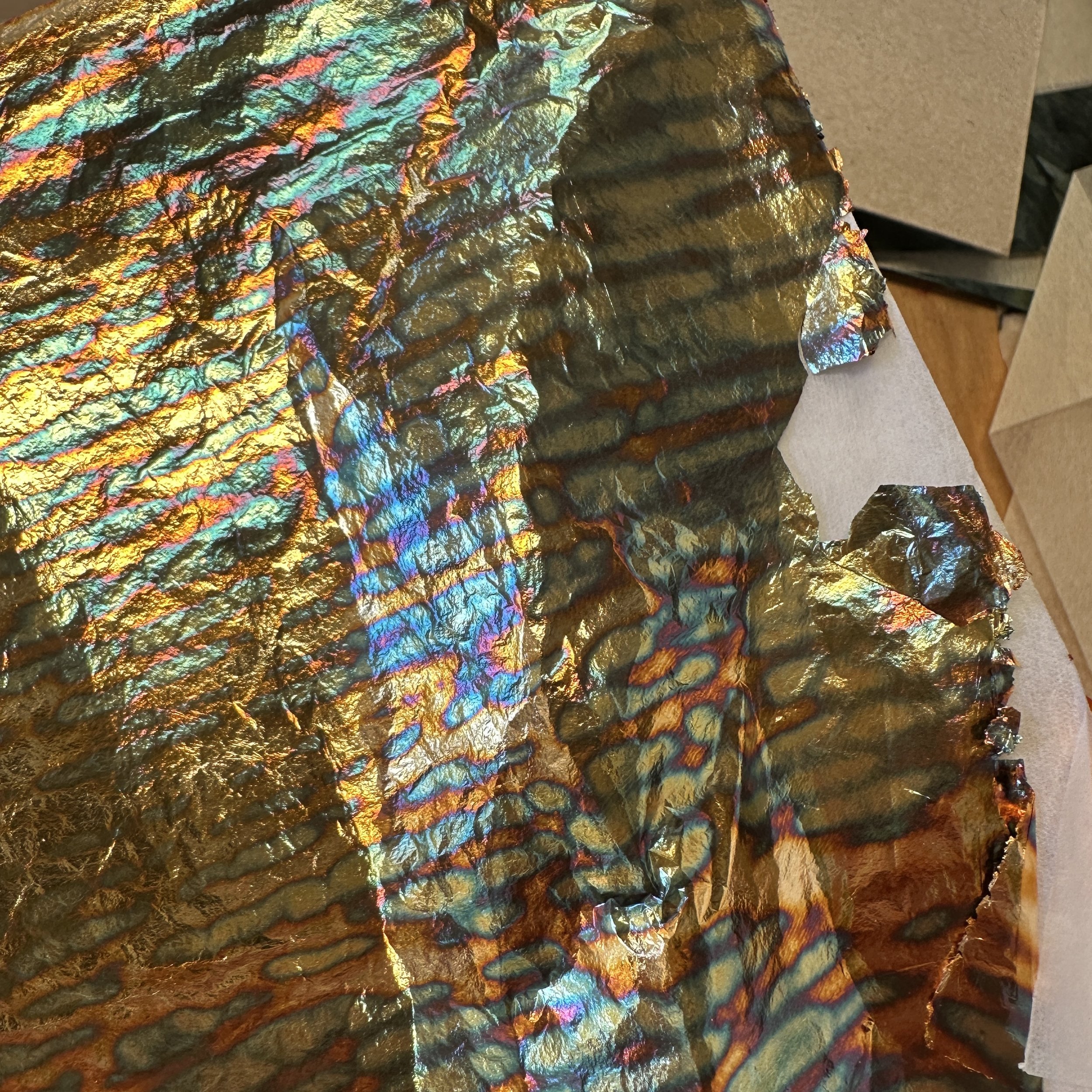 varigated brass leaf.jpg