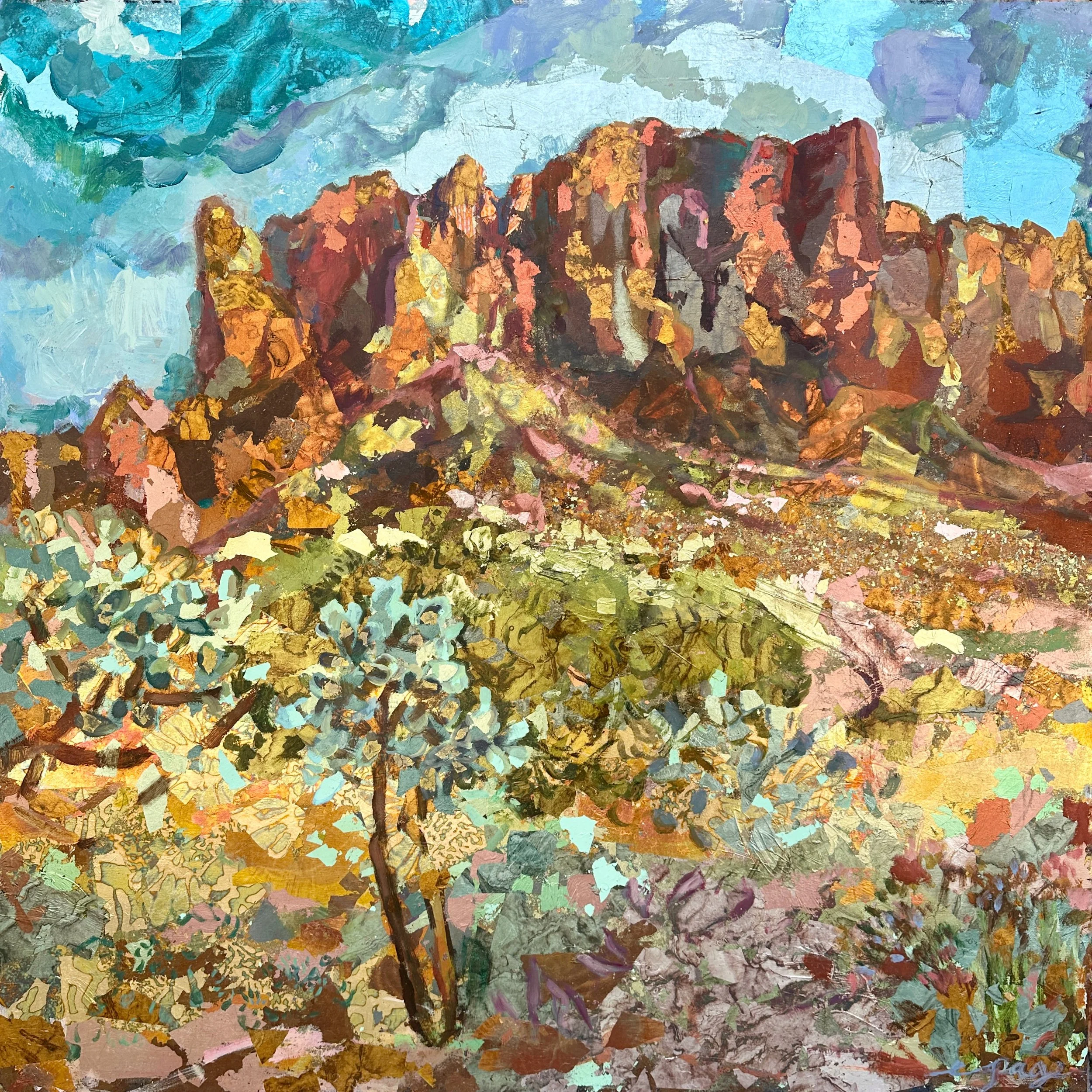 Chollas at Lost Dutchman | 40x40