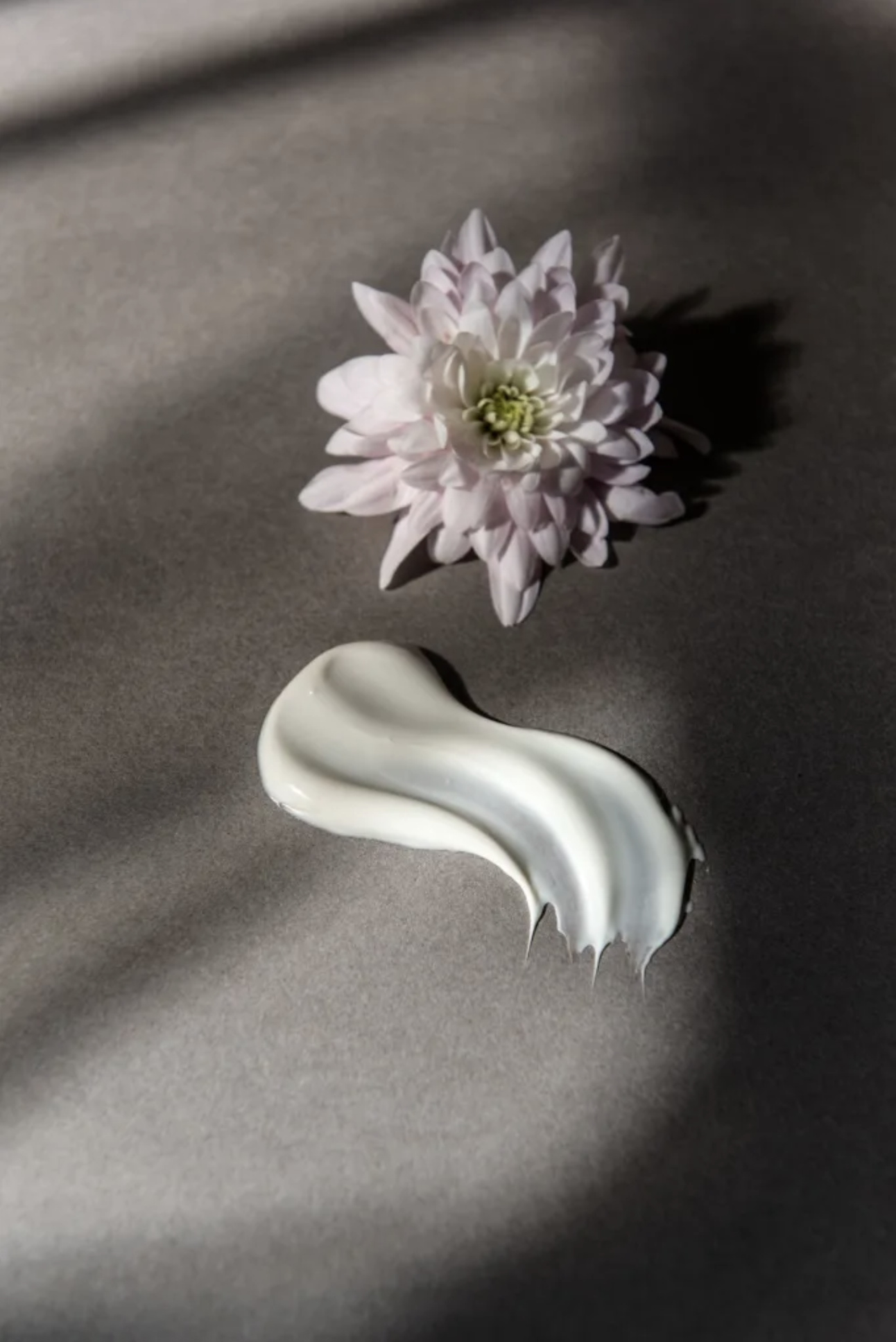 Screenshot 2026-01-07 at 2.45.26 PM.png