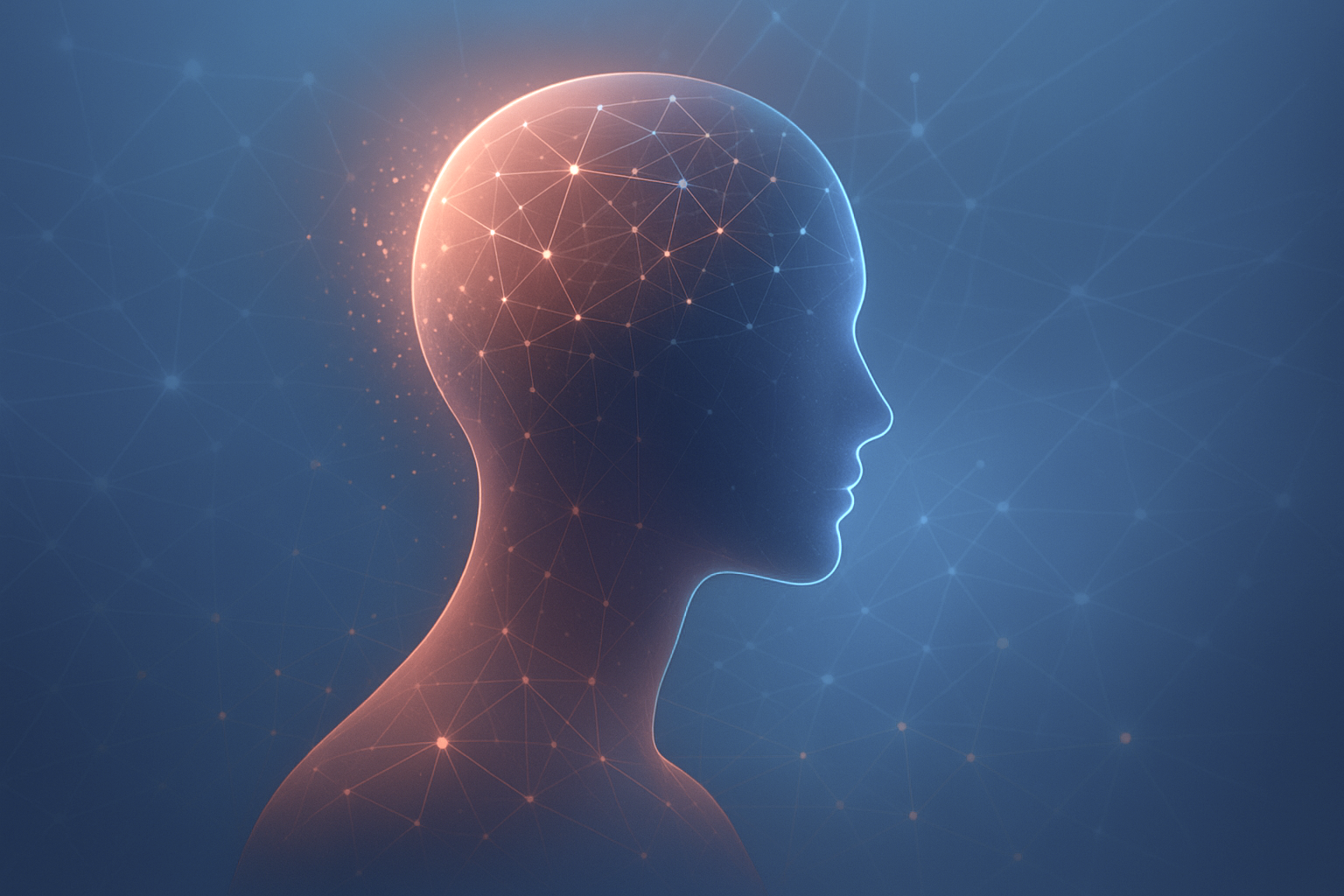 Effectiveness, Efficiency, Fairness, and Technology