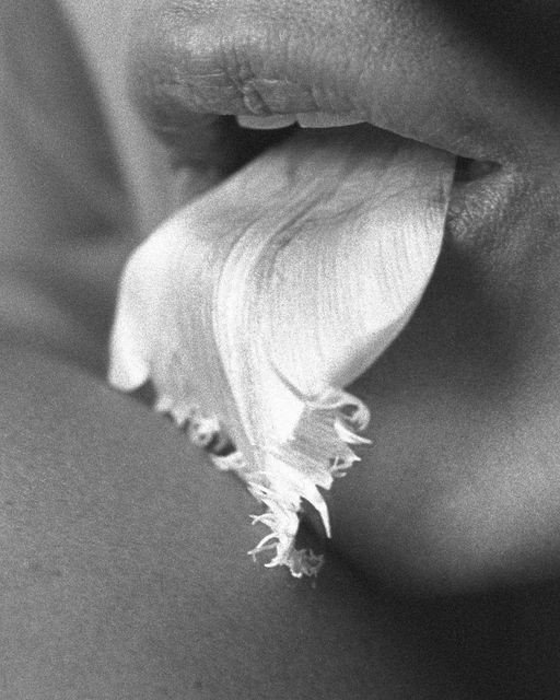 Close-up of a person's lips with a flower petal on the tongue.