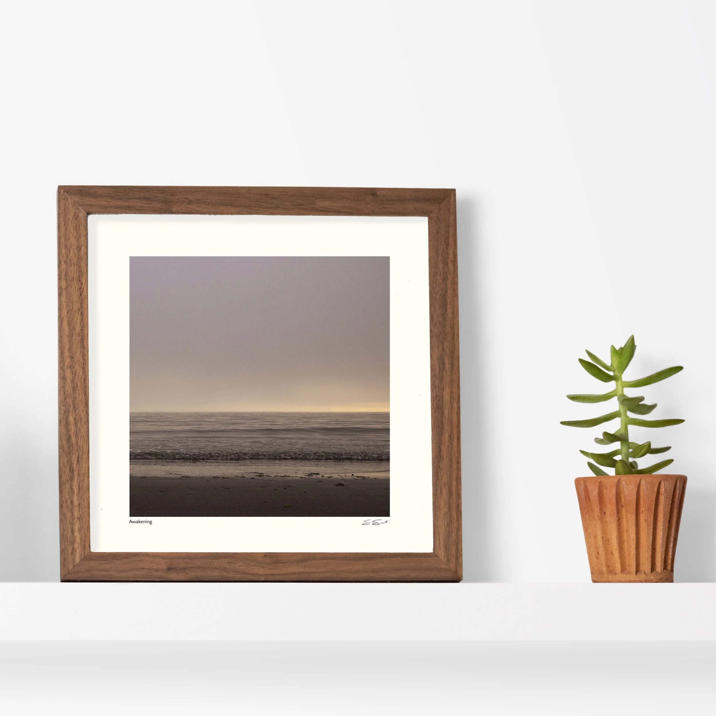 Awakening Mockup1.jpg