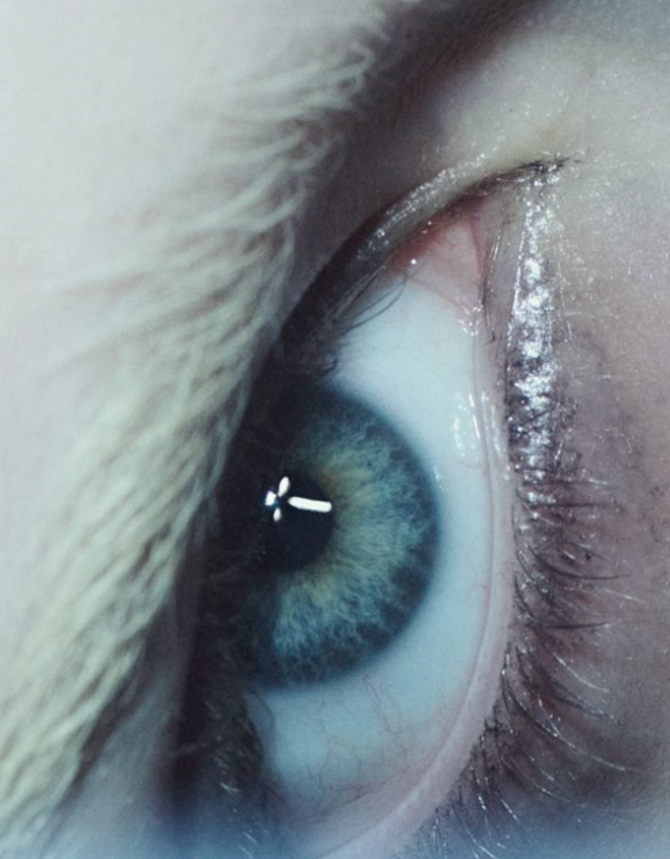 Copy of Roger Guardia (3).png