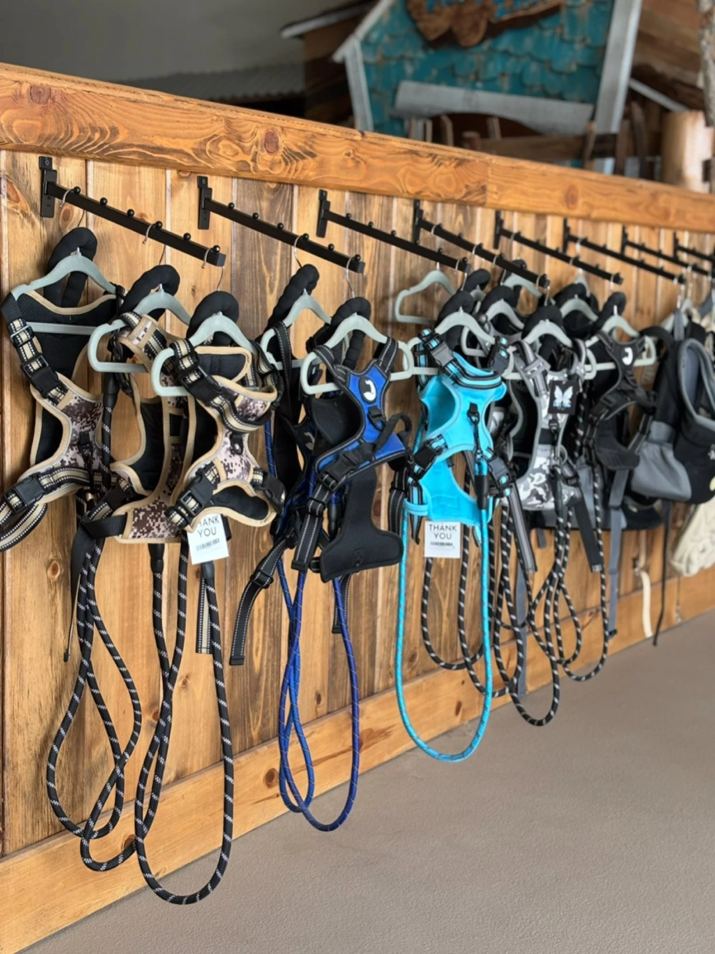 A display of various dog harnesses and leashes hanging on hooks against a wooden panel wall.