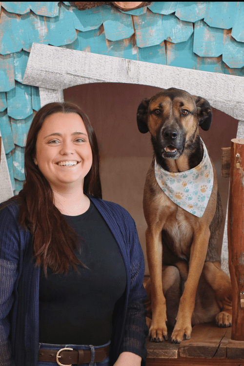 Fairy Tails Pet Spa, pet groomer in Clovis, photo 4 of 6