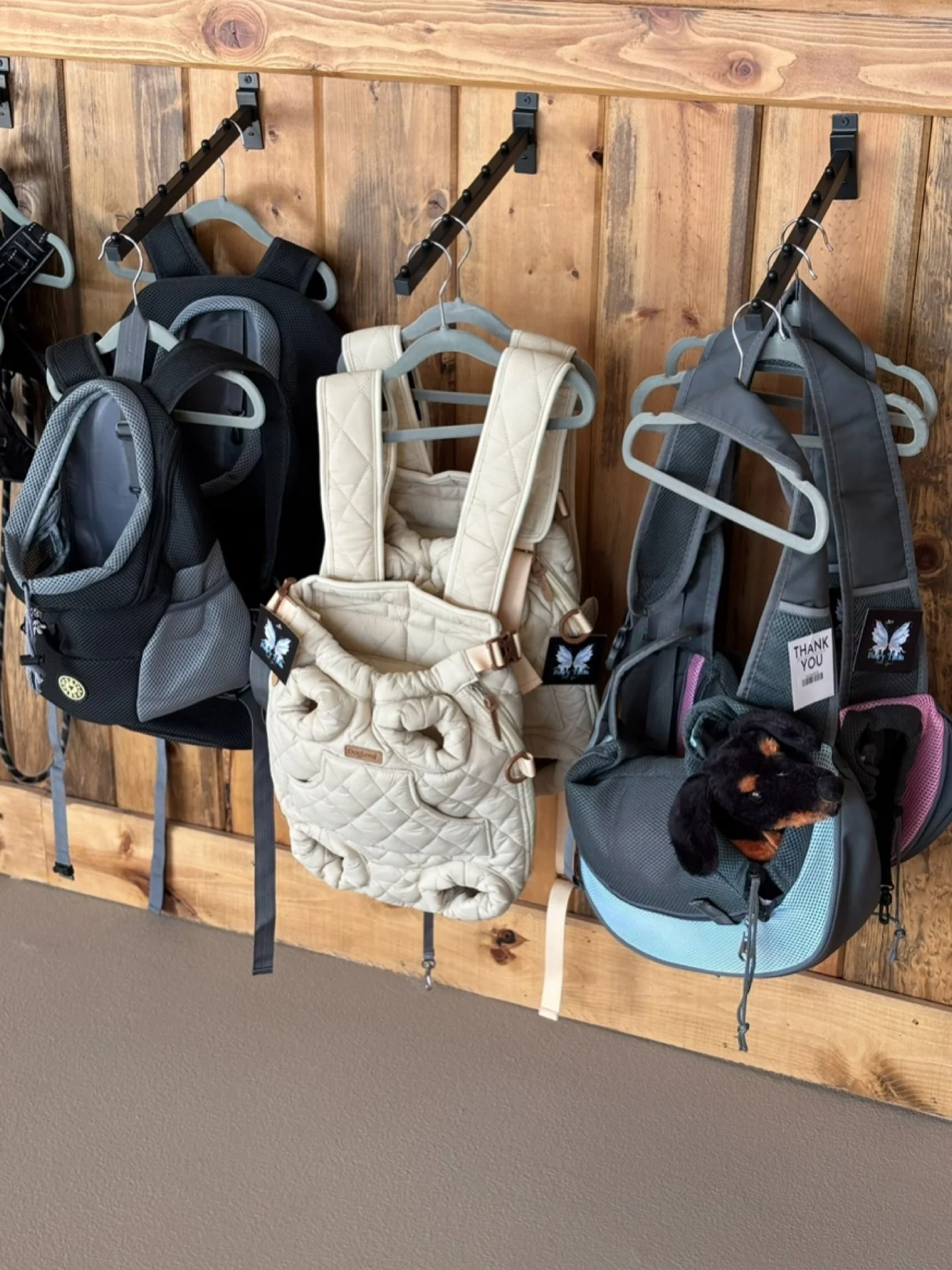 Three pet carriers hanging on a wooden wall, with a small black and brown puppy in the right carrier.