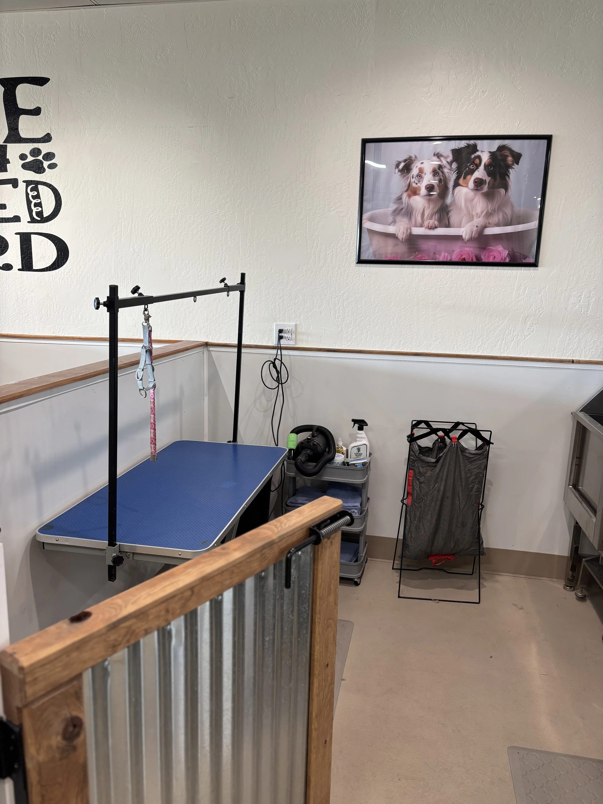 Photo of an animal grooming station with a grooming table, grooming tools, and a framed picture of two dogs in a bath on the wall.