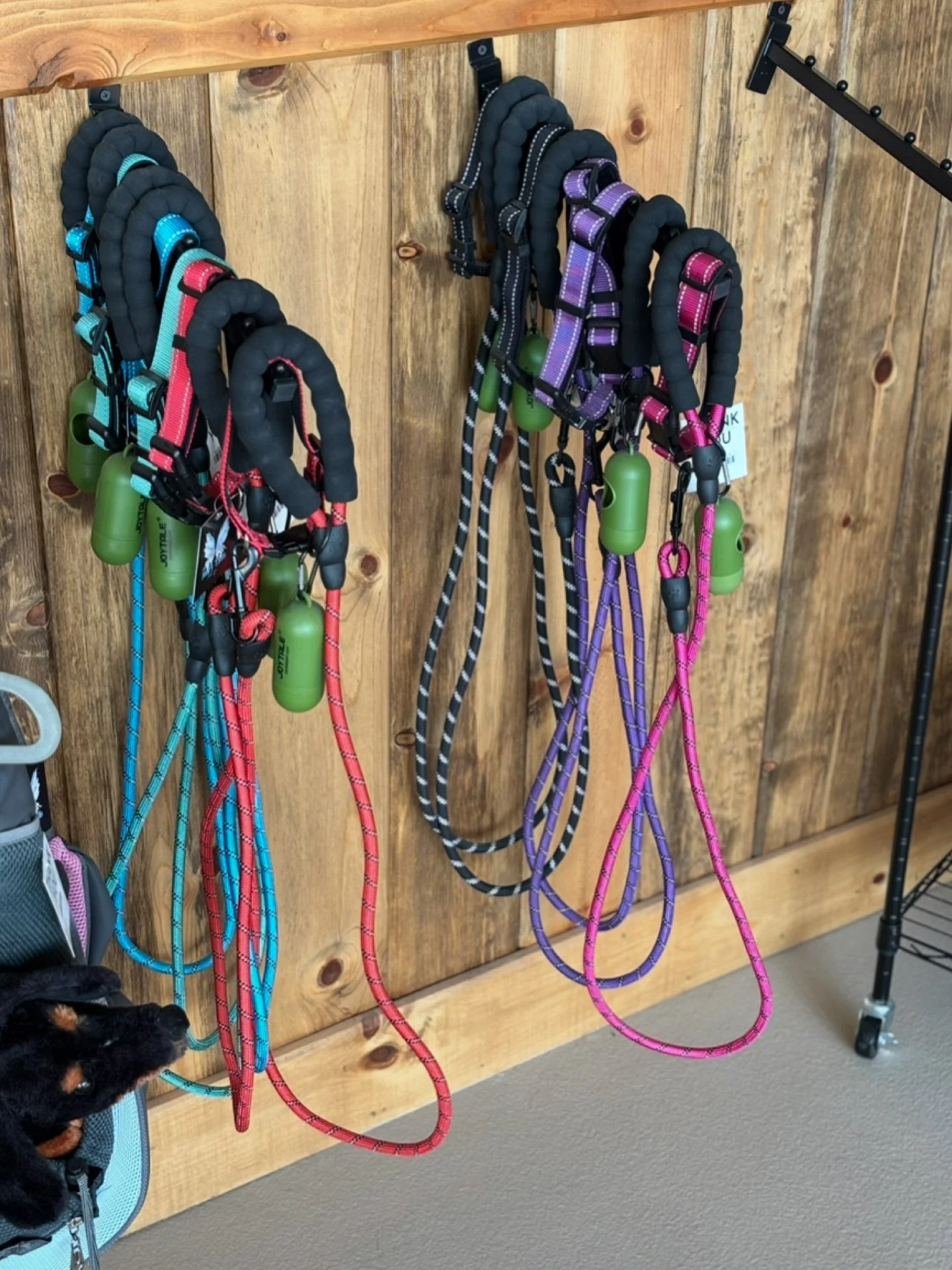 Colorful dog leashes and harnesses hanging on hooks on a wooden wall.