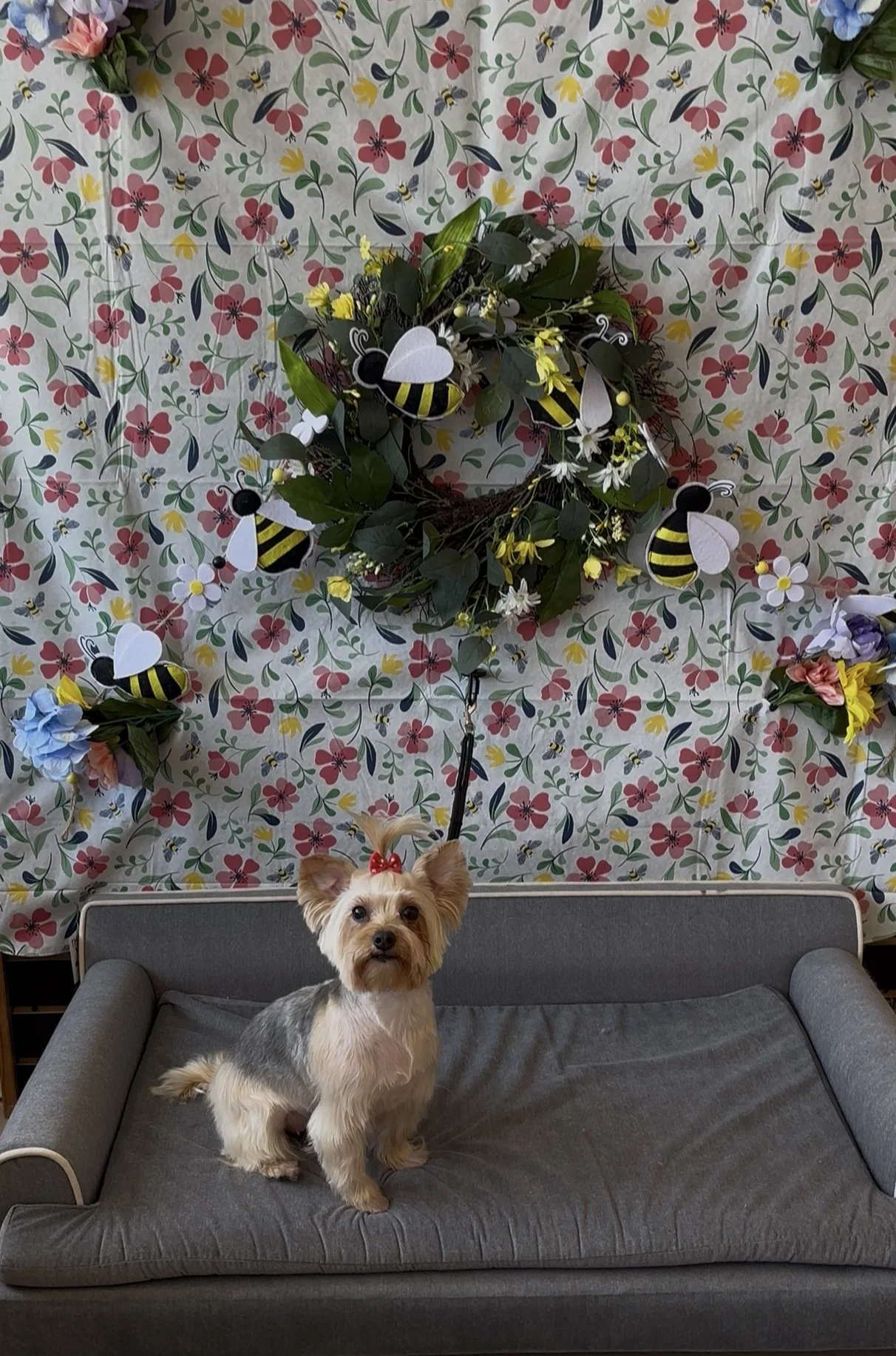 A small dog with tan and gray fur sits on a gray sofa with a floral and bee-themed backdrop. The backdrop features a wall hanging with a pattern of flowers and bees, decorated with paper bees and flowers, and a central wreath of greenery and white fl