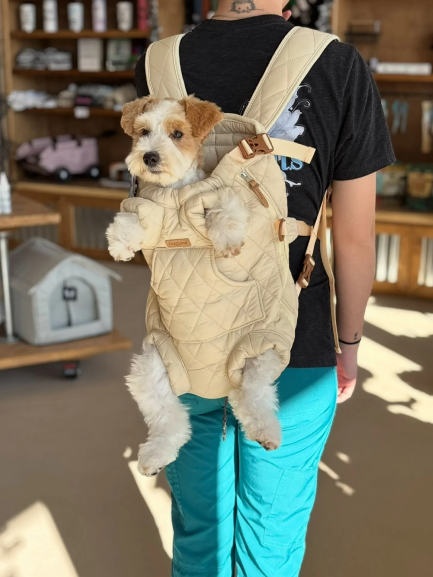 Person carrying a small puppy in a beige dog carrier worn as a backpack in a store or pet shop.