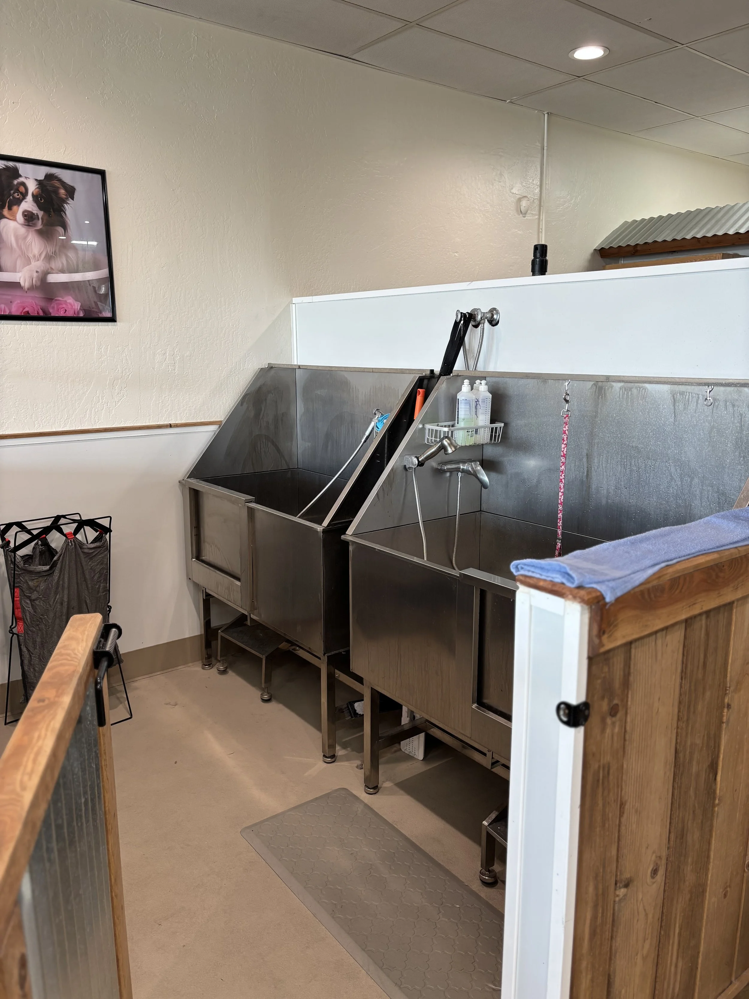 A commercial dog grooming station with two stainless steel washing tubs, one of which is tilted with a black grooming loop, and a small shelf with grooming supplies. There is a towel on a wooden divider, a picture of a dog on the wall, and a laundry basket in the corner.