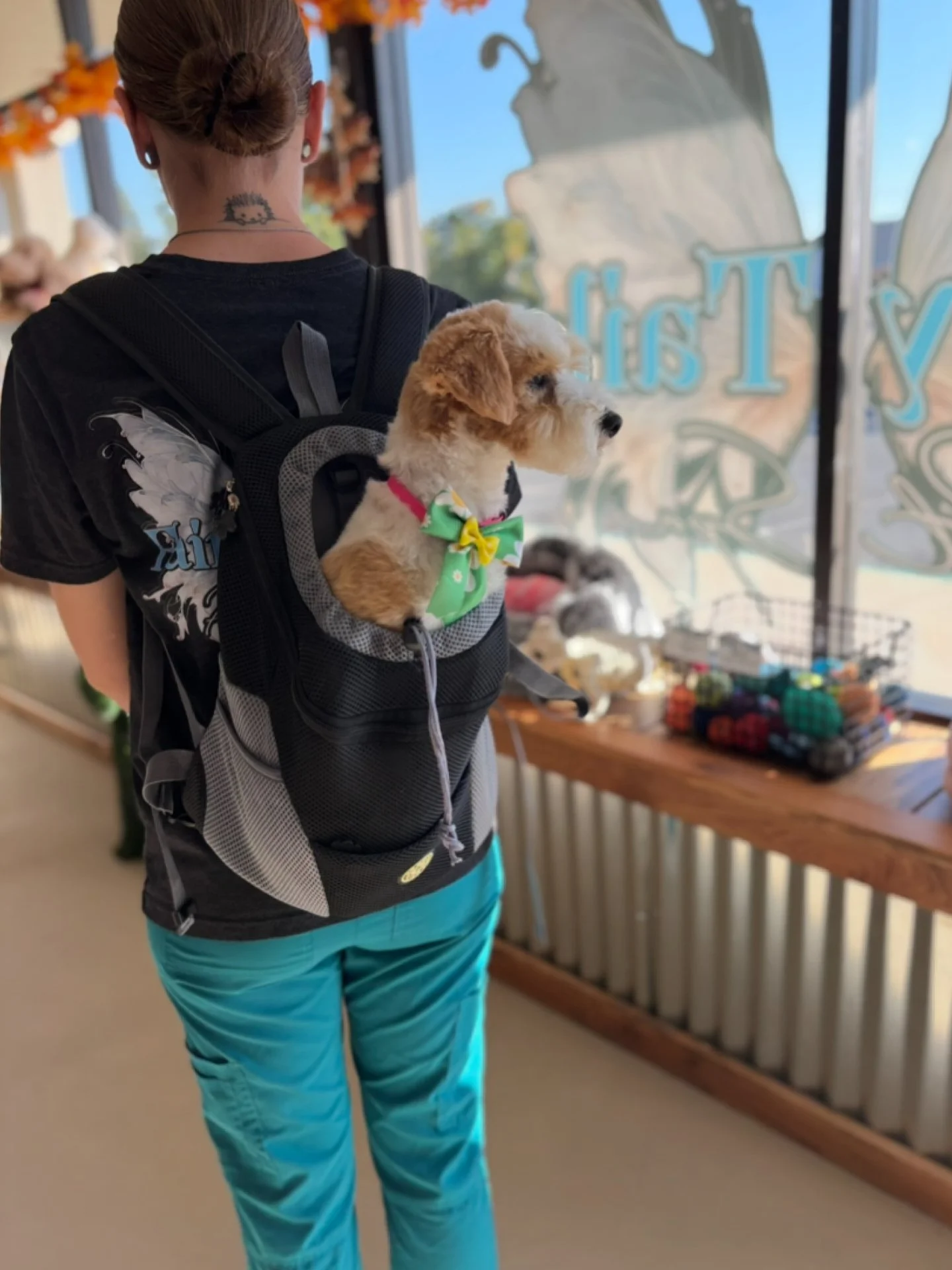 A person with their back to the camera is carrying a small brown and white puppy in a backpack carrier, inside a store with large windows and colorful decorations, possibly for a pet or holiday event.
