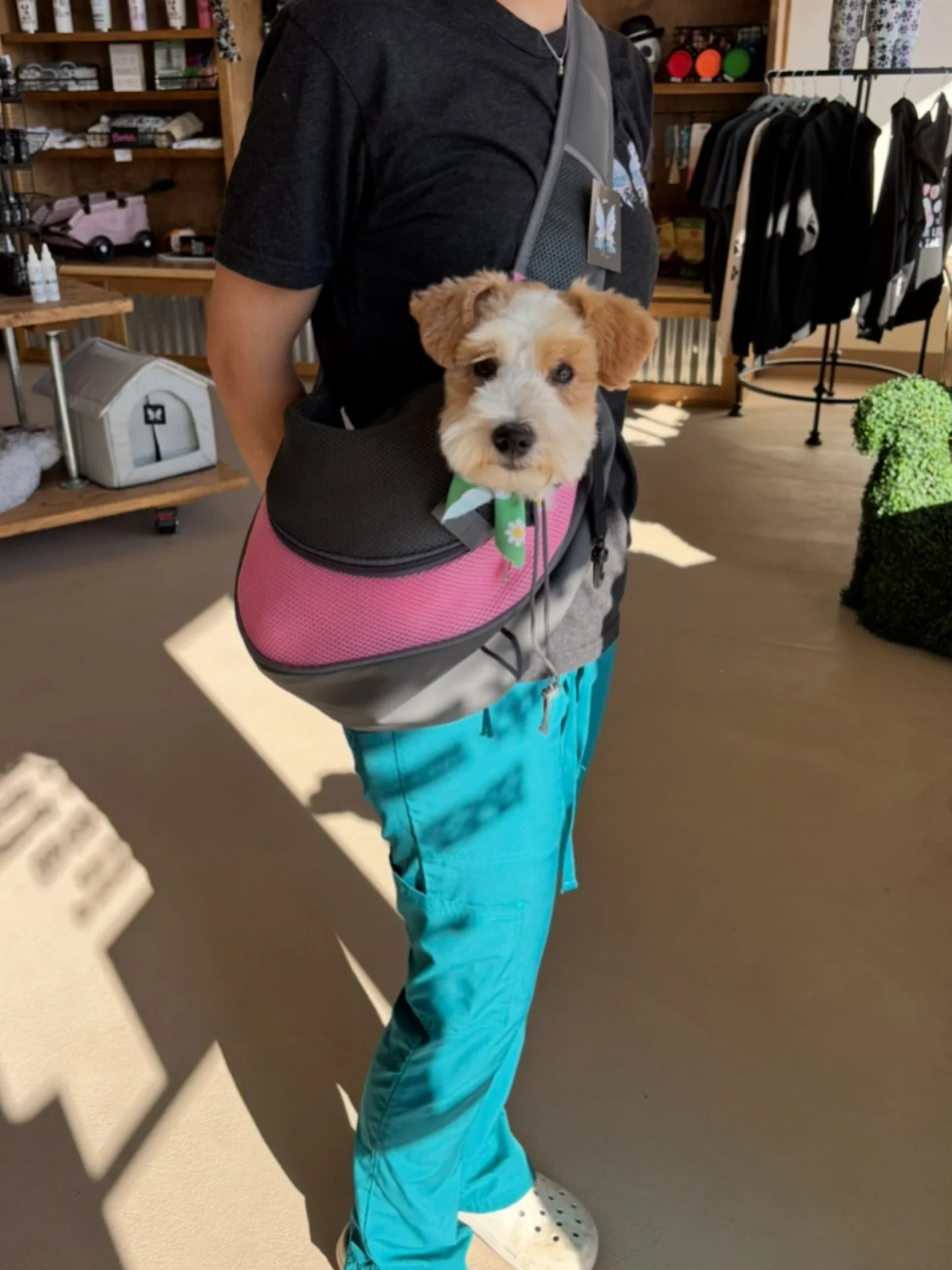 A person holding a small dog in a pink and black pet carrier inside a store.