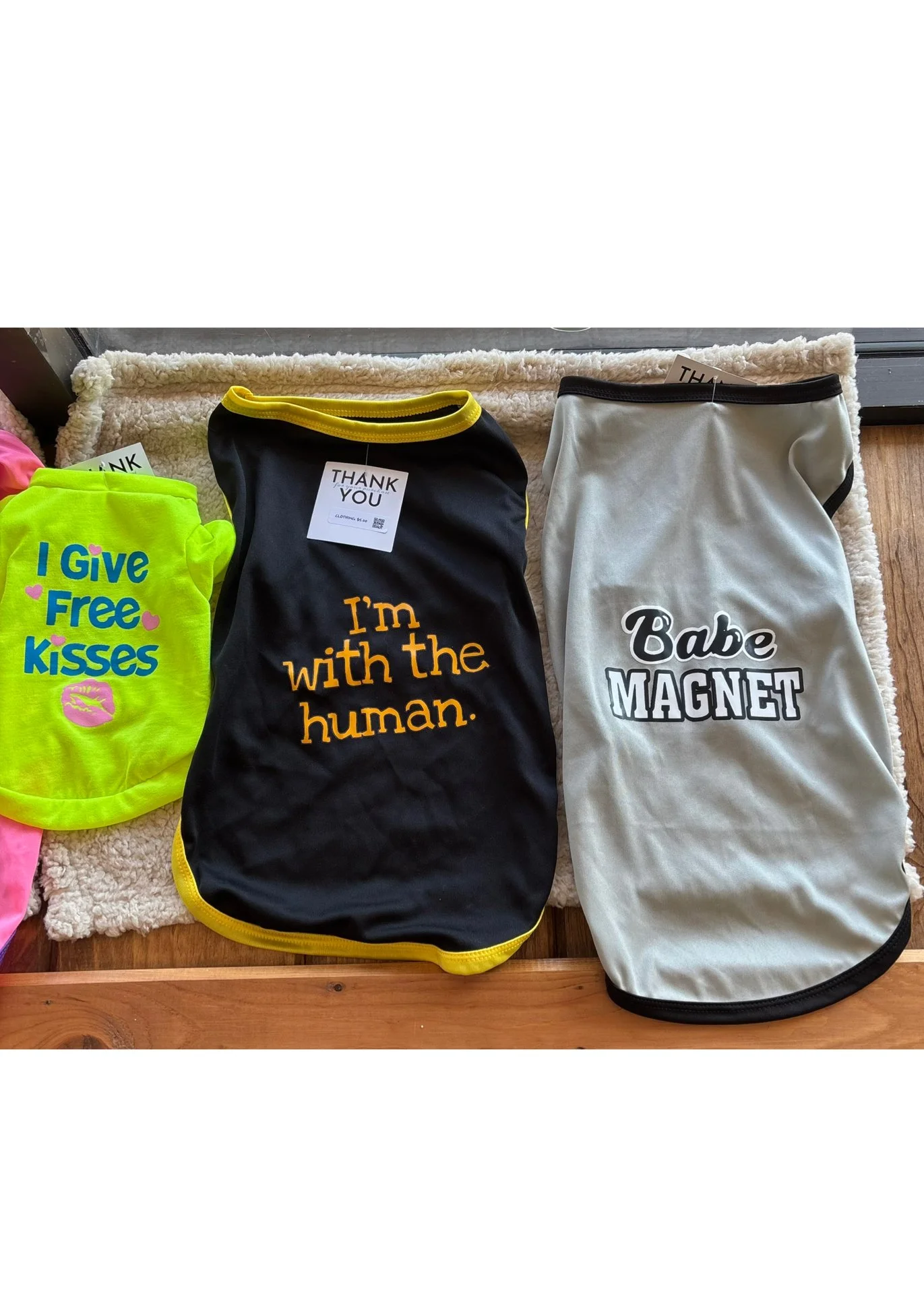 Three dog shirts, each with different designs and text, laid out on a fluffy rug. The first shirt on the left is bright yellow with blue and pink text that says 'I Give Free Kisses'. The middle shirt is black with yellow trim and orange text that says 'I'm with the human.' The third shirt is light gray with black text that says 'Babe Magnet.'