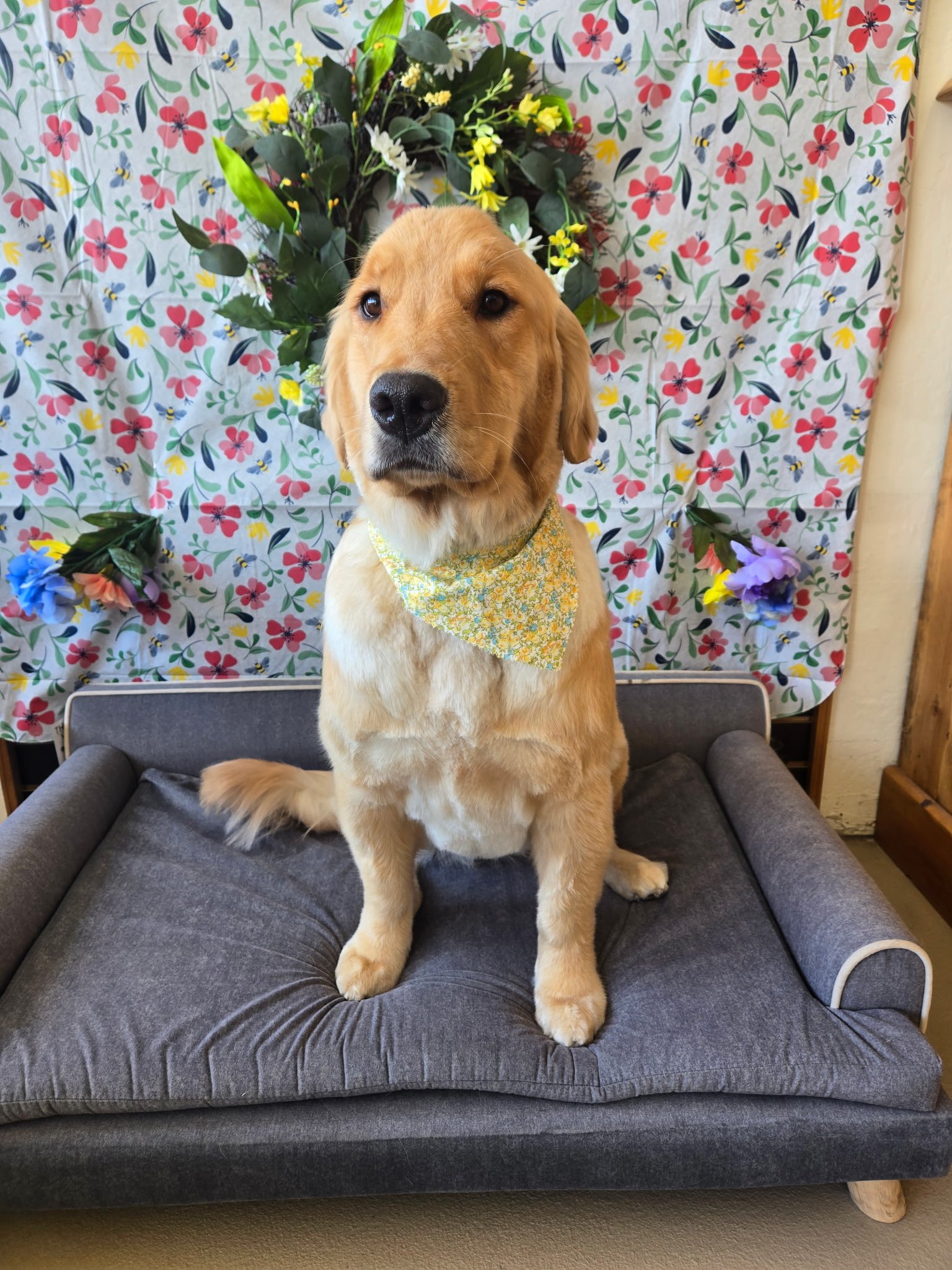 A golden retriever puppy sitting on a grey cushioned dog bed in front of a floral backdrop with flowers and leaves, wearing a yellow patterned bandana.