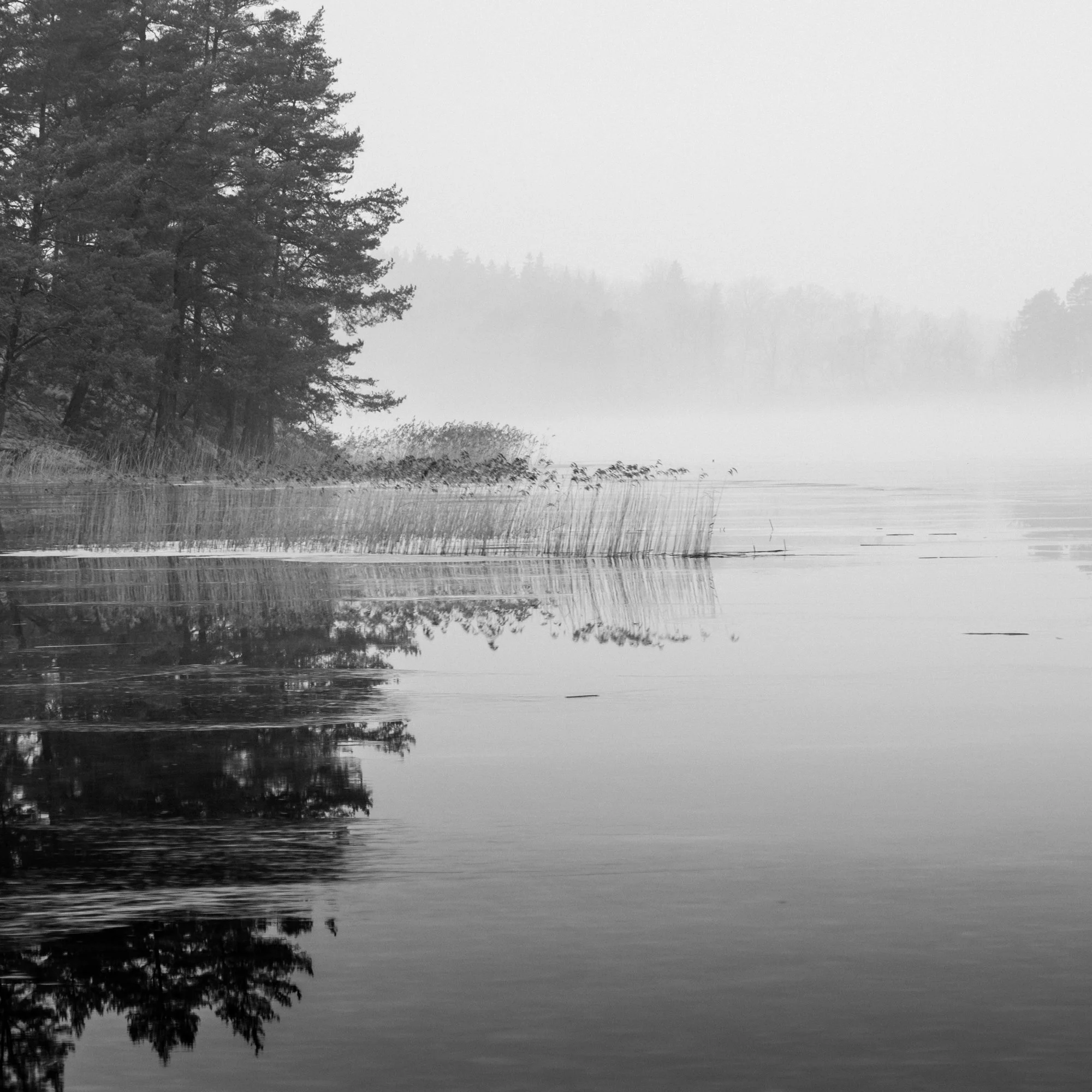 Into the mist series-3.jpg