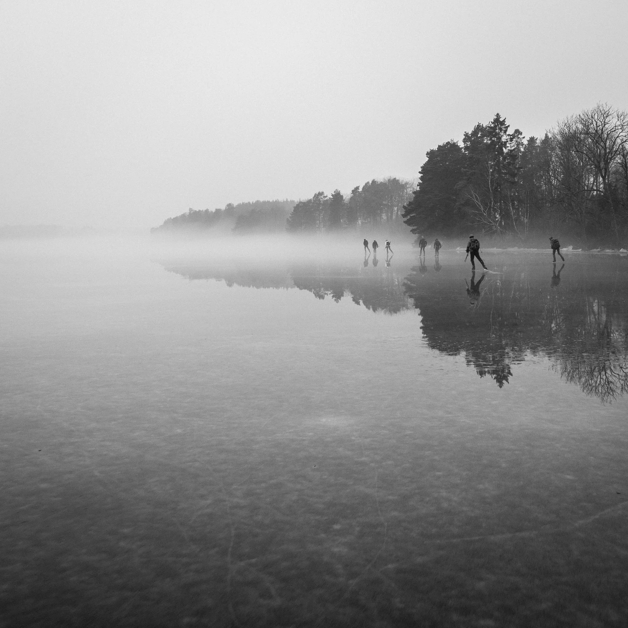 Into the mist series-1.jpg