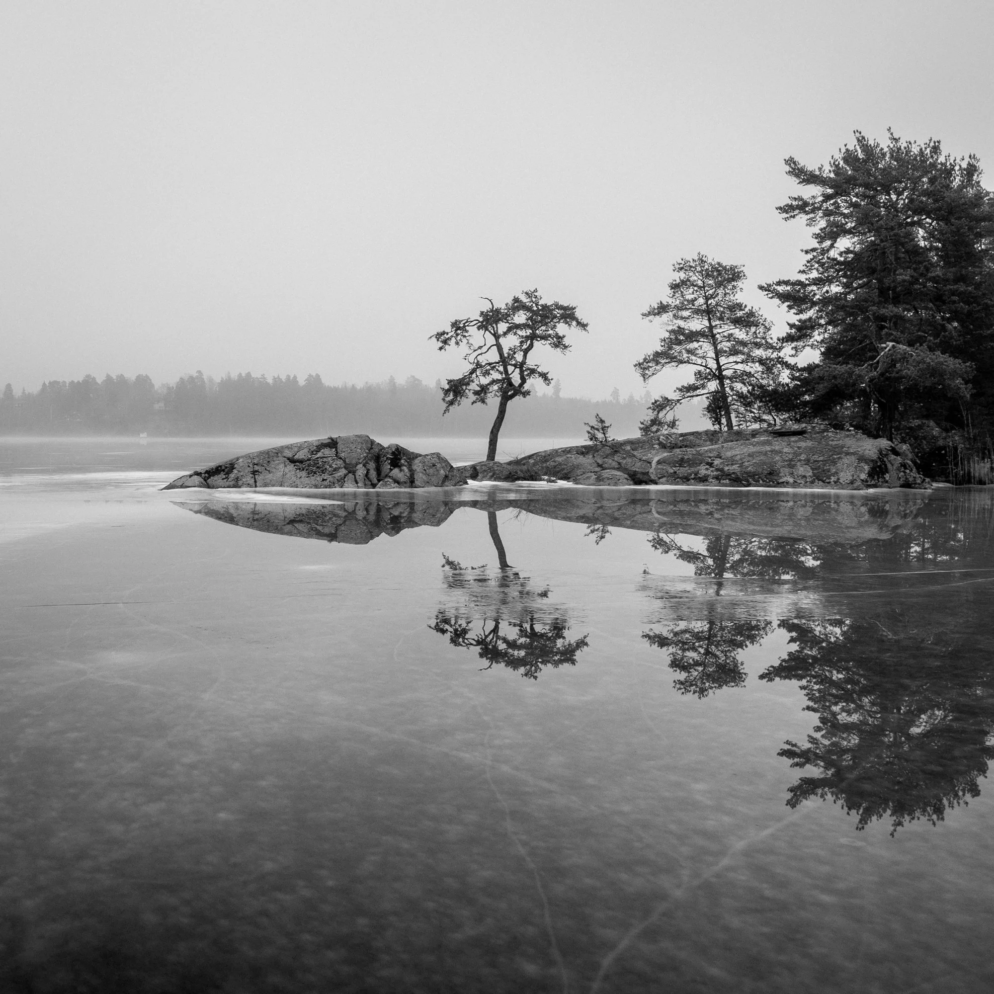 Into the mist series-4.jpg