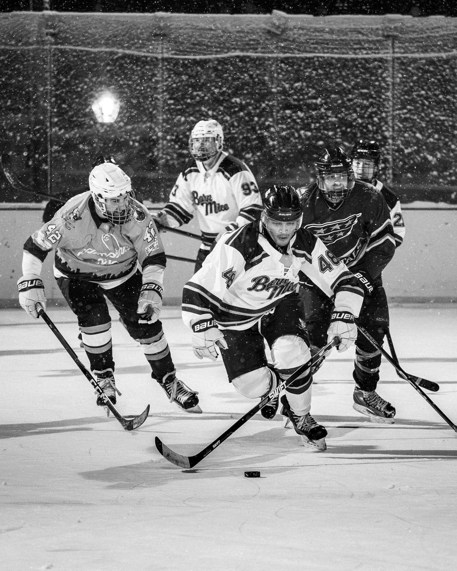 Barn Mice CP 011826 BW-6.jpg