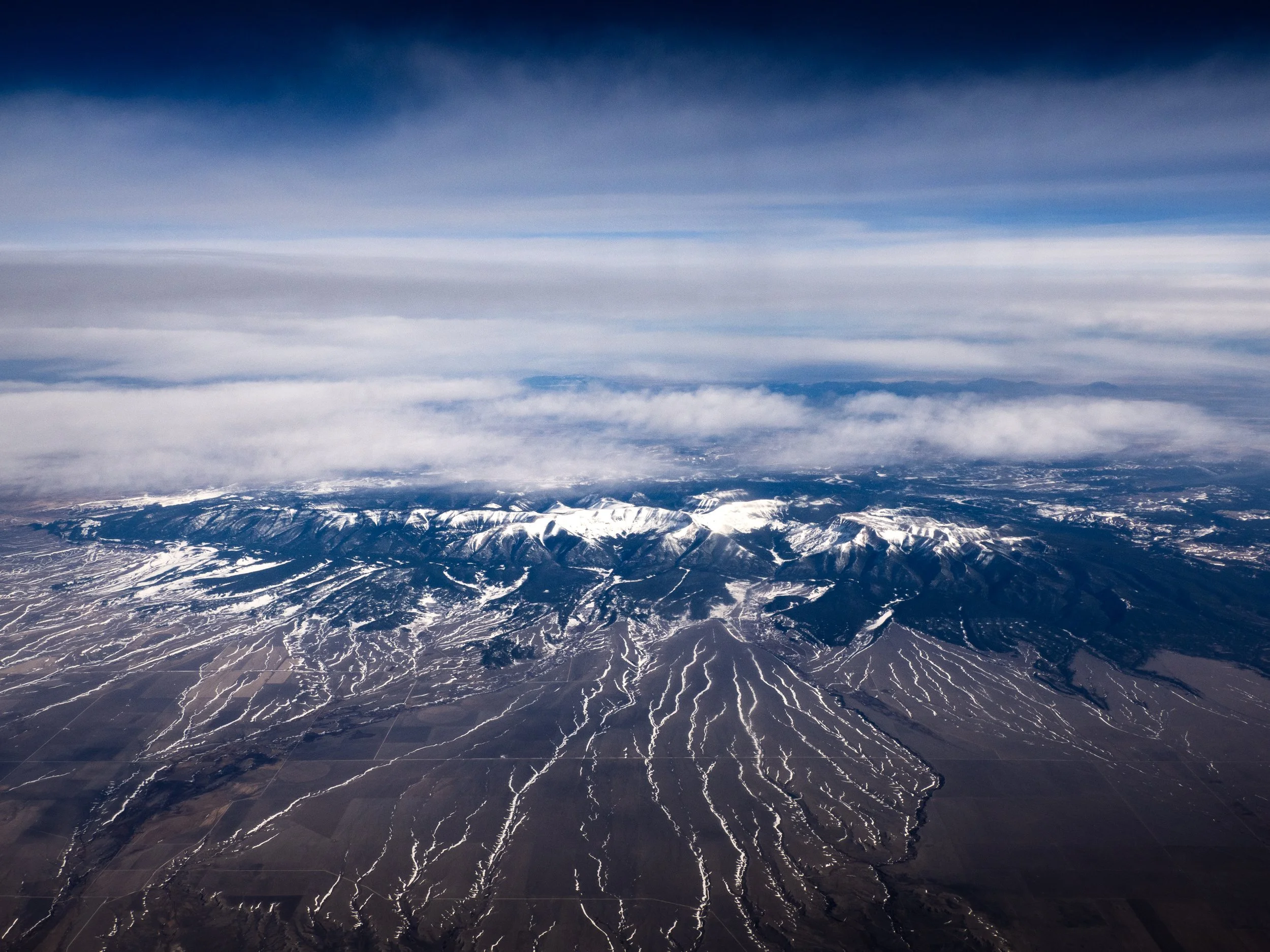 "Montana Vein" - Montana State