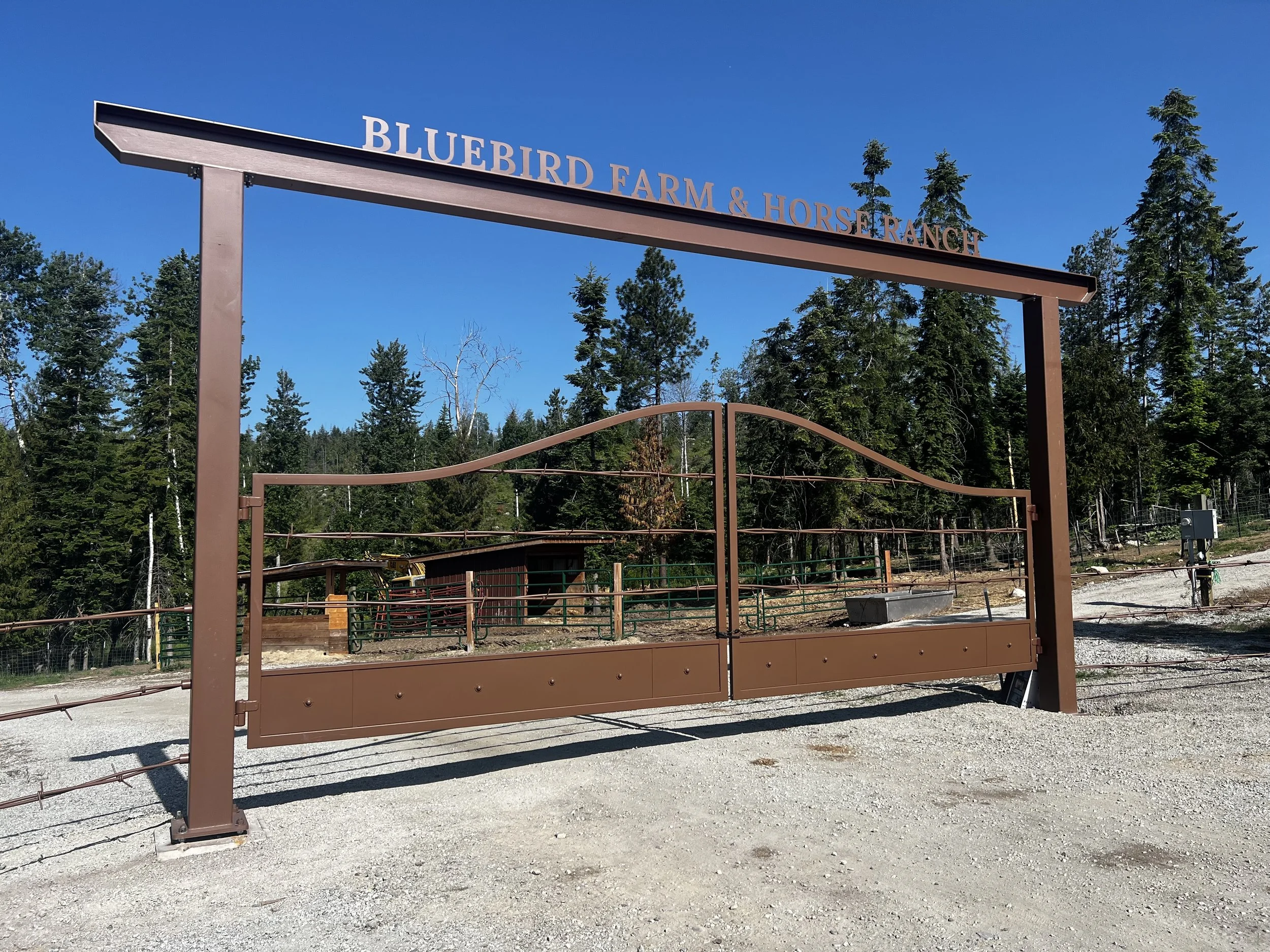 A metal gate with the sign 'Bluebird Farm & Horse Ranch' at the entrance of a farm surrounded by tall pine trees and a clear blue sky.