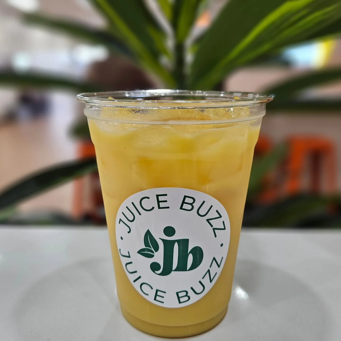 Our NEW must have additions to our holiday drinks ⬇️
🍊 Gingerbread Sunrise 🍊
A cup of fresh sunshine meets gingerbread spice ✨ It's the holiday glow-up your morning didn&rsquo;t know it needed ☀️ This oj based drink is nothing to sleep on!
🍪 Ginge