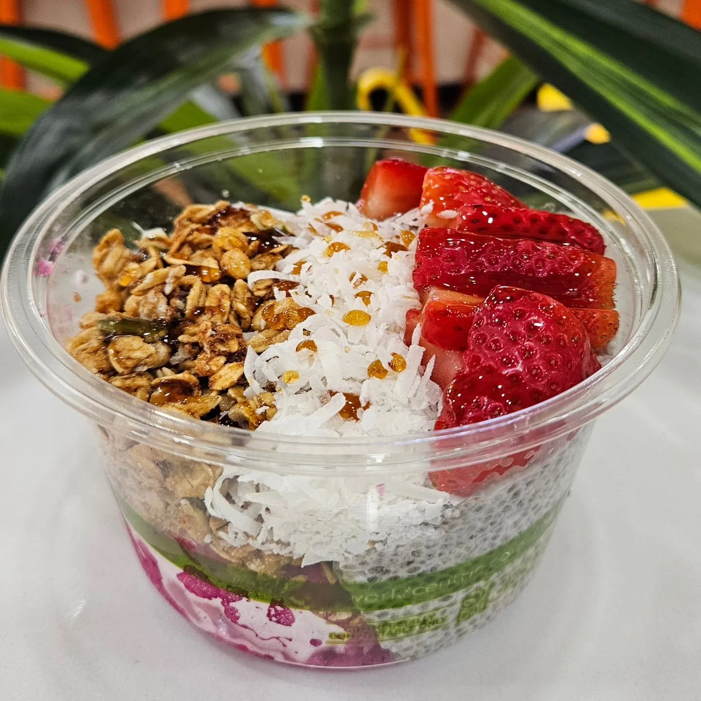 Glow from the first bite ✨️ Half smoothie bowl -- Half vanilla chia pudding 🤤 Creamy, full of flavor, protein &amp; antioxidants ✨️ Tastes like dessert but supports your glow ✨️
GLOW BOWL FLAVORS ~
💜 the Shy Acai 
🩷 Ally's Pitaya (Dragonfruit)
💚 