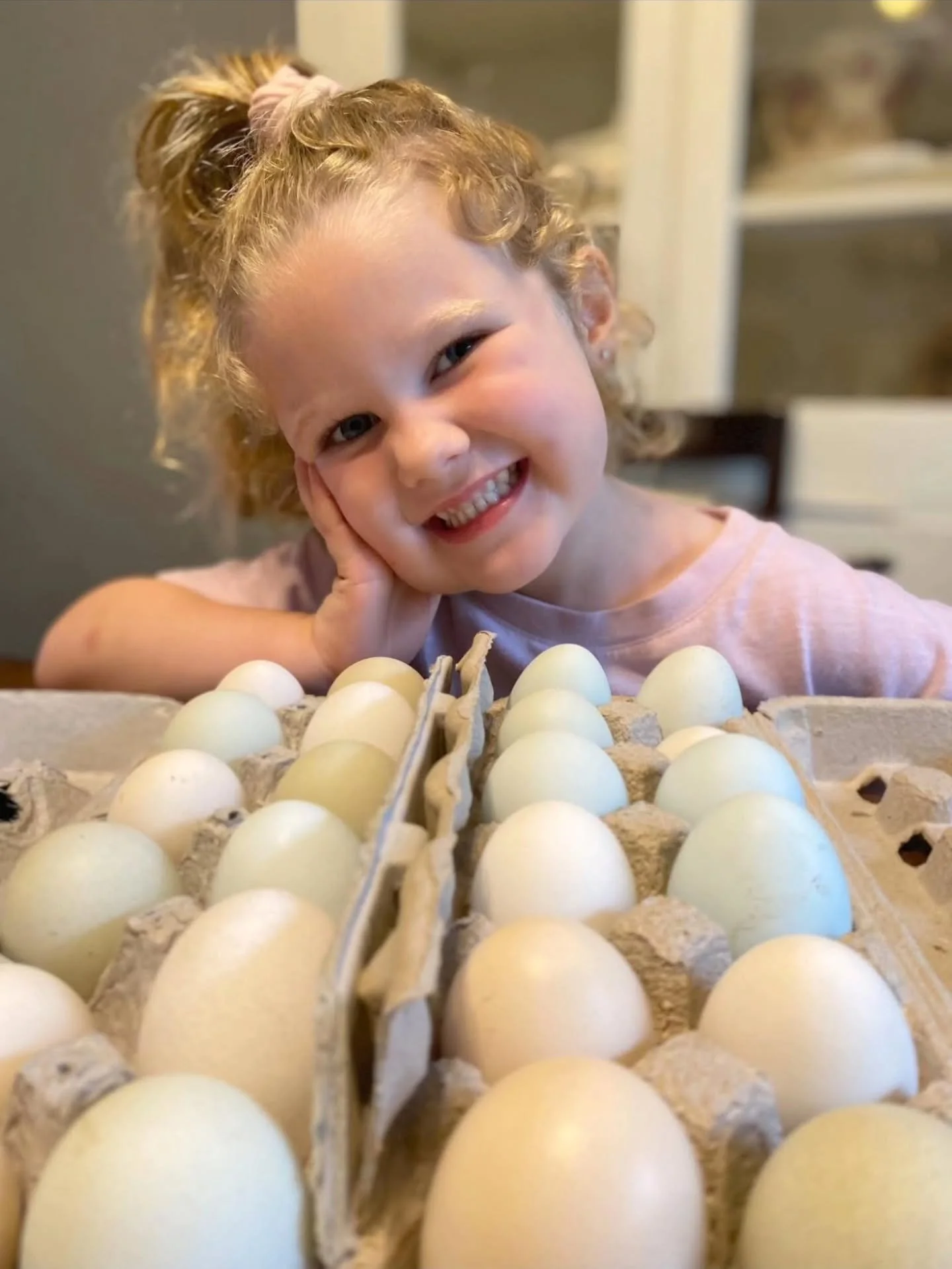 Meet Wolfe's Family Farm 🐖🐥 Their pig and poultry farm began with a simple dream&mdash;to raise animals the right way, with honesty, care, and a strong connection to the land. As a family, they&rsquo;ve always believed that farming is more than jus