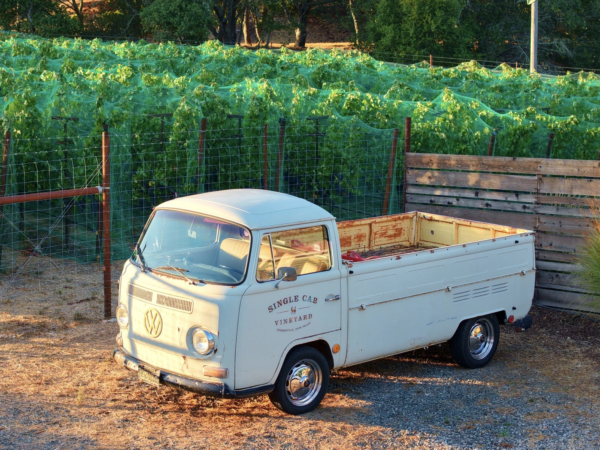 A vintage white Volkswagen pickup truck with a logo for a vineyard on the door, parked outdoors in front of a green vineyard surrounded by trees, with a wire fence and a wooden barrier.