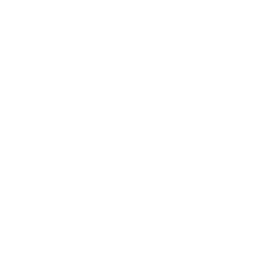 C2 FPV \\ Cinematic Drone Services