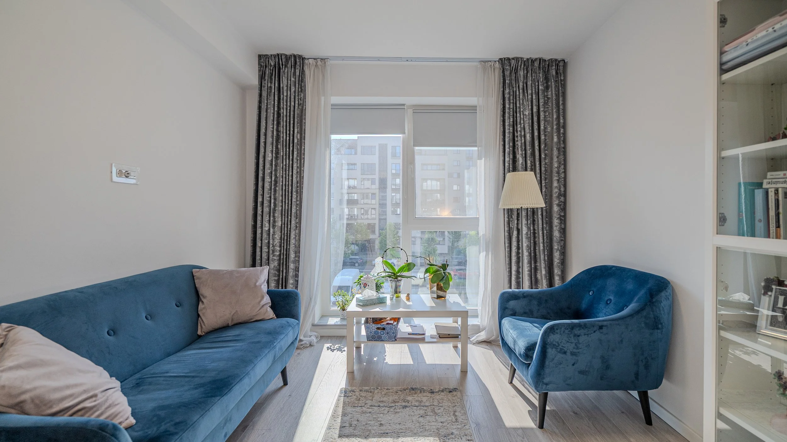 Living room with blue velvet sofa and armchair, white coffee table with plants, window with curtains, bookshelf with books, sunlight coming in.