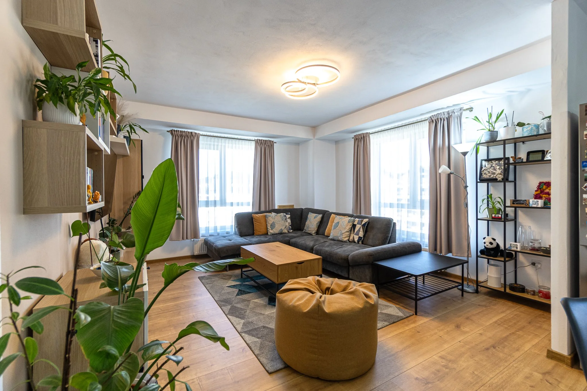 Living room with large L-shaped dark gray sofa, wooden coffee table, bean bag chair, area rug, and multiple windows with beige curtains. There are plants on shelves and a black metal shelving unit with decor items. The ceiling has a modern circular l