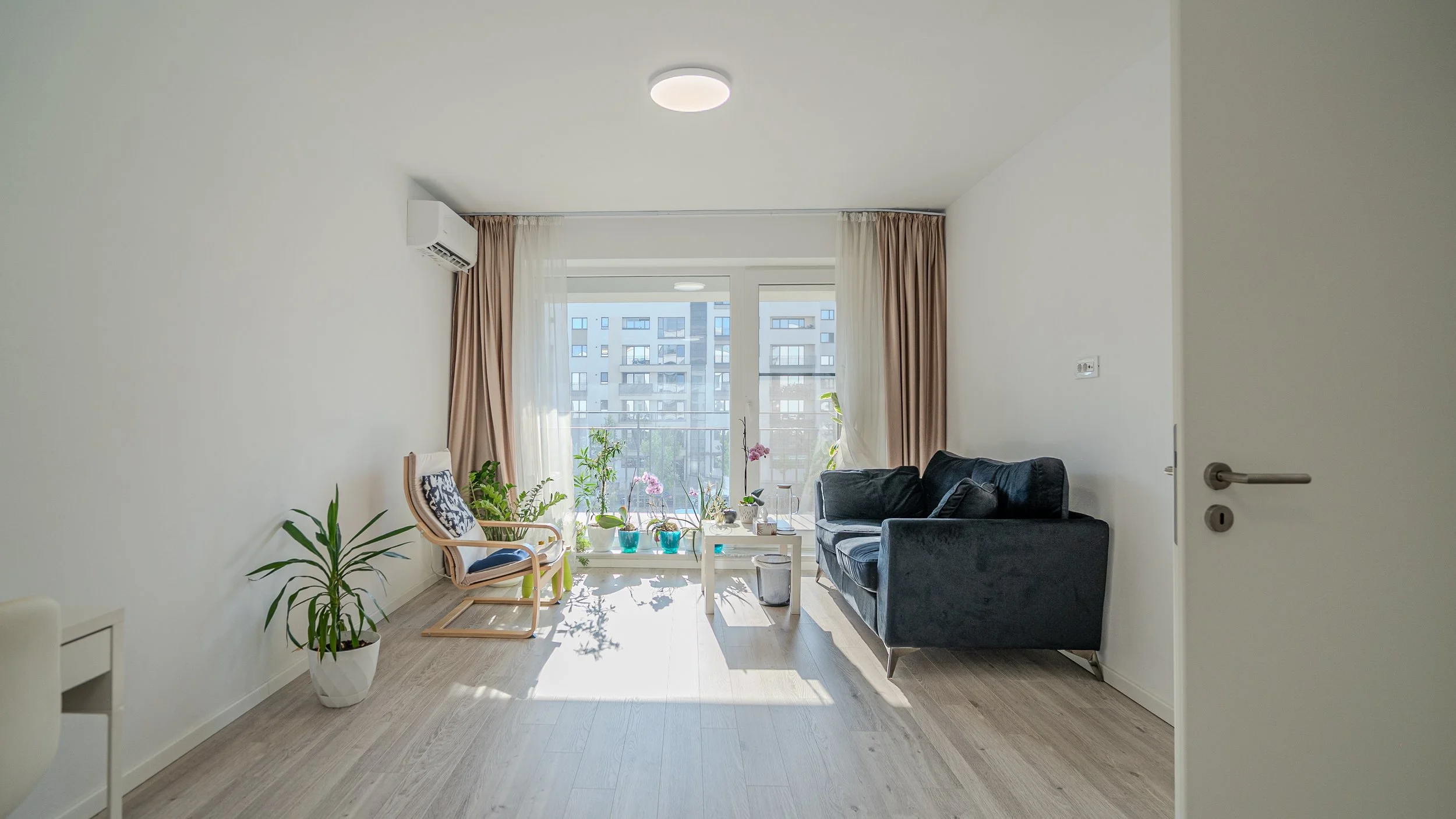 Bright living room with large window, blue sofa, armchair, and plants.