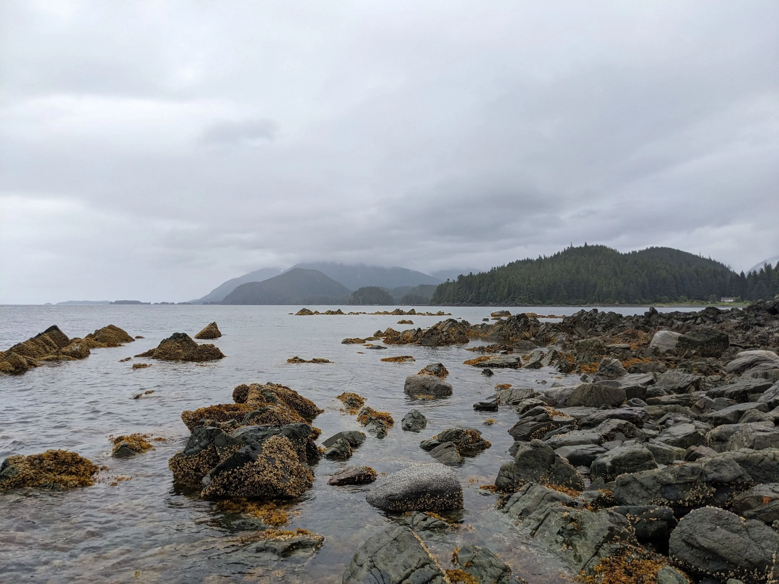 A rocky shoreline with calm water, distant forested hills, and a cloudy sky.