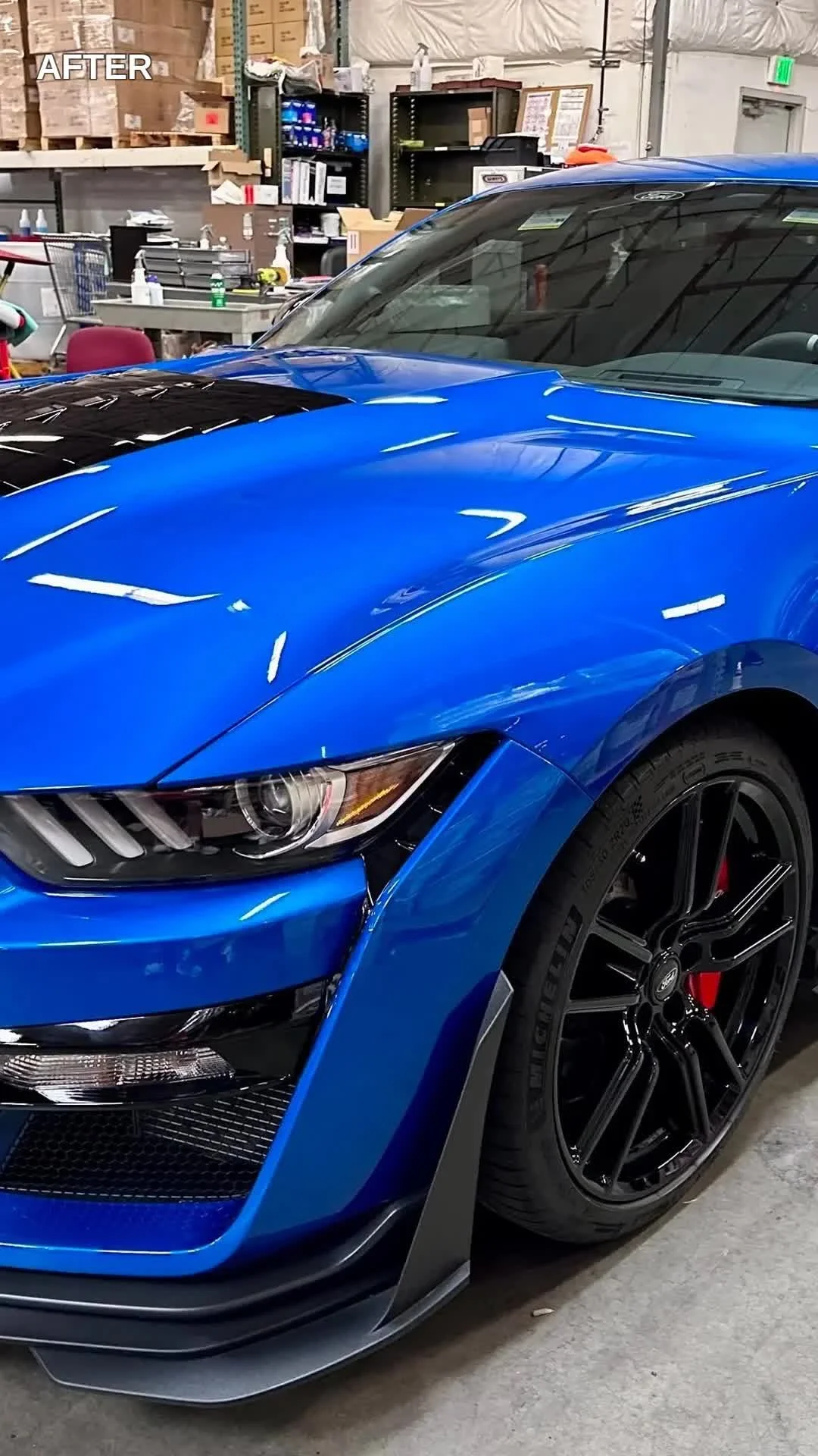 Blue Shelby Mustang with a mirror-gloss finish after paint correction and ceramic coating in the shop