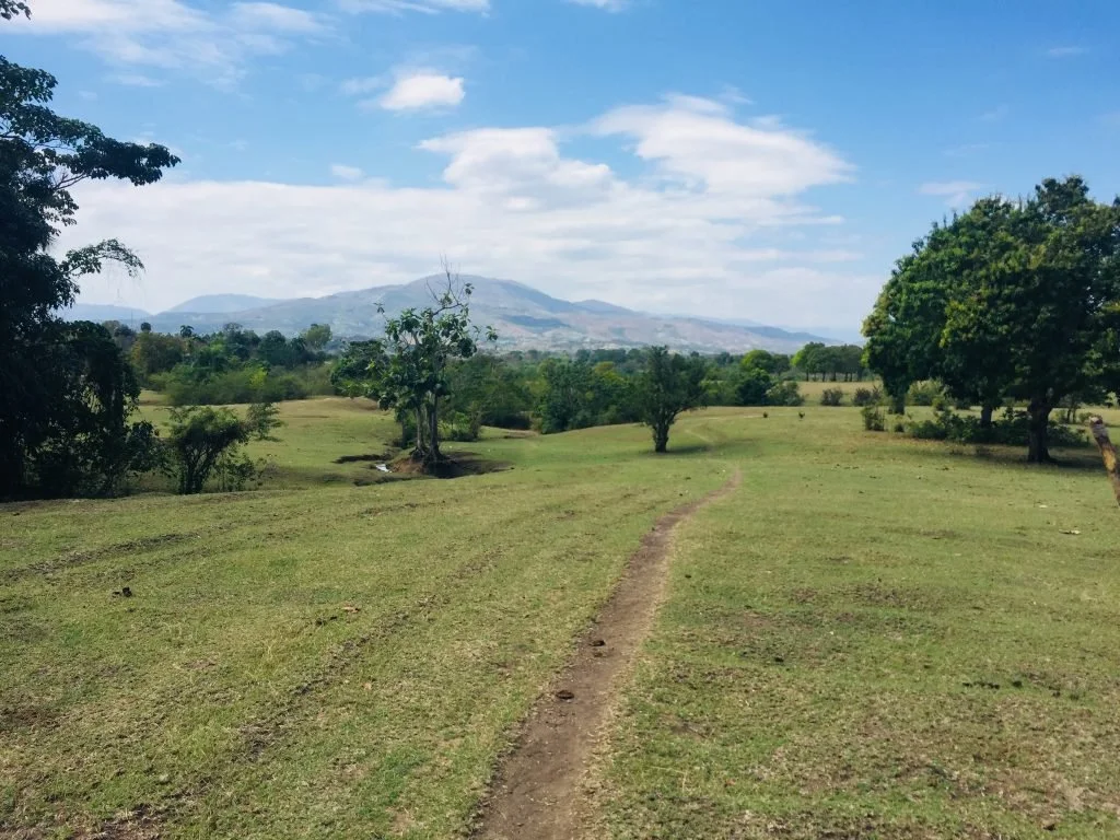 A Tree Side Conversation With Myself 7.jpg