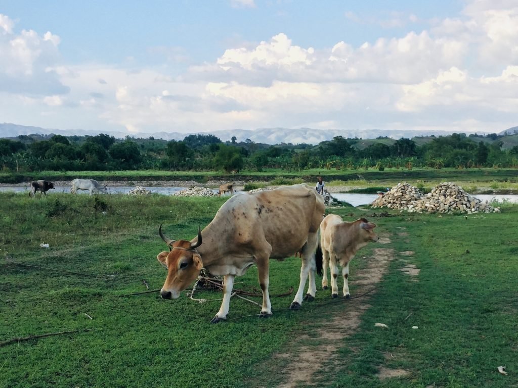 A Tree Side Conversation With Myself 9.jpg